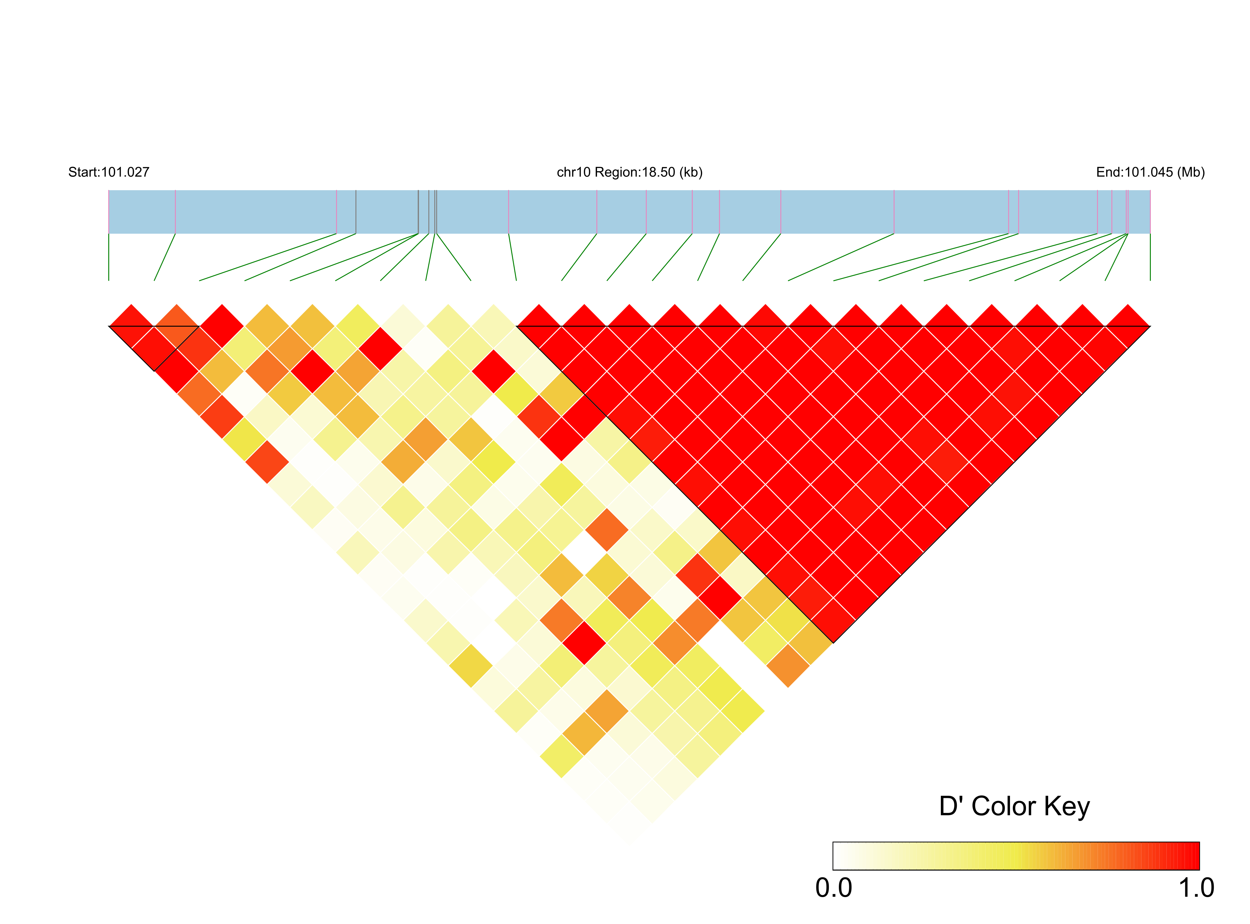 LD