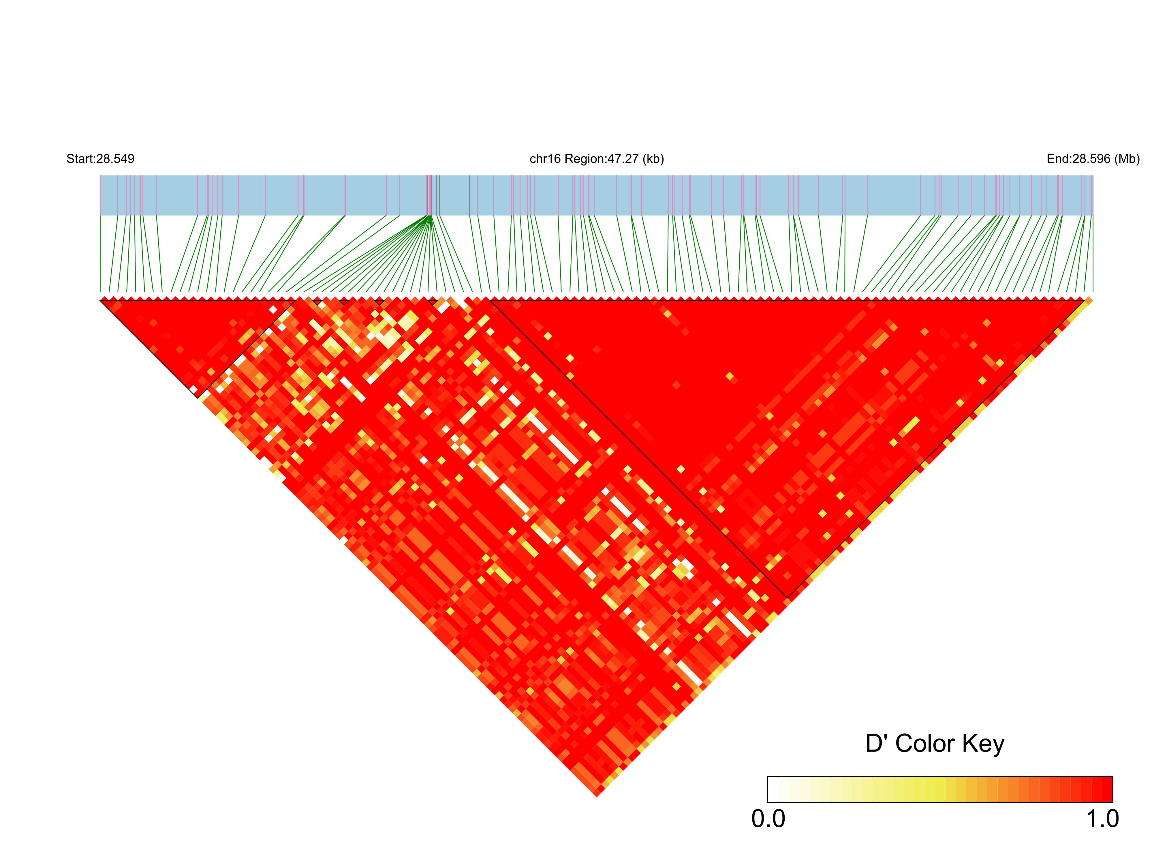 LD