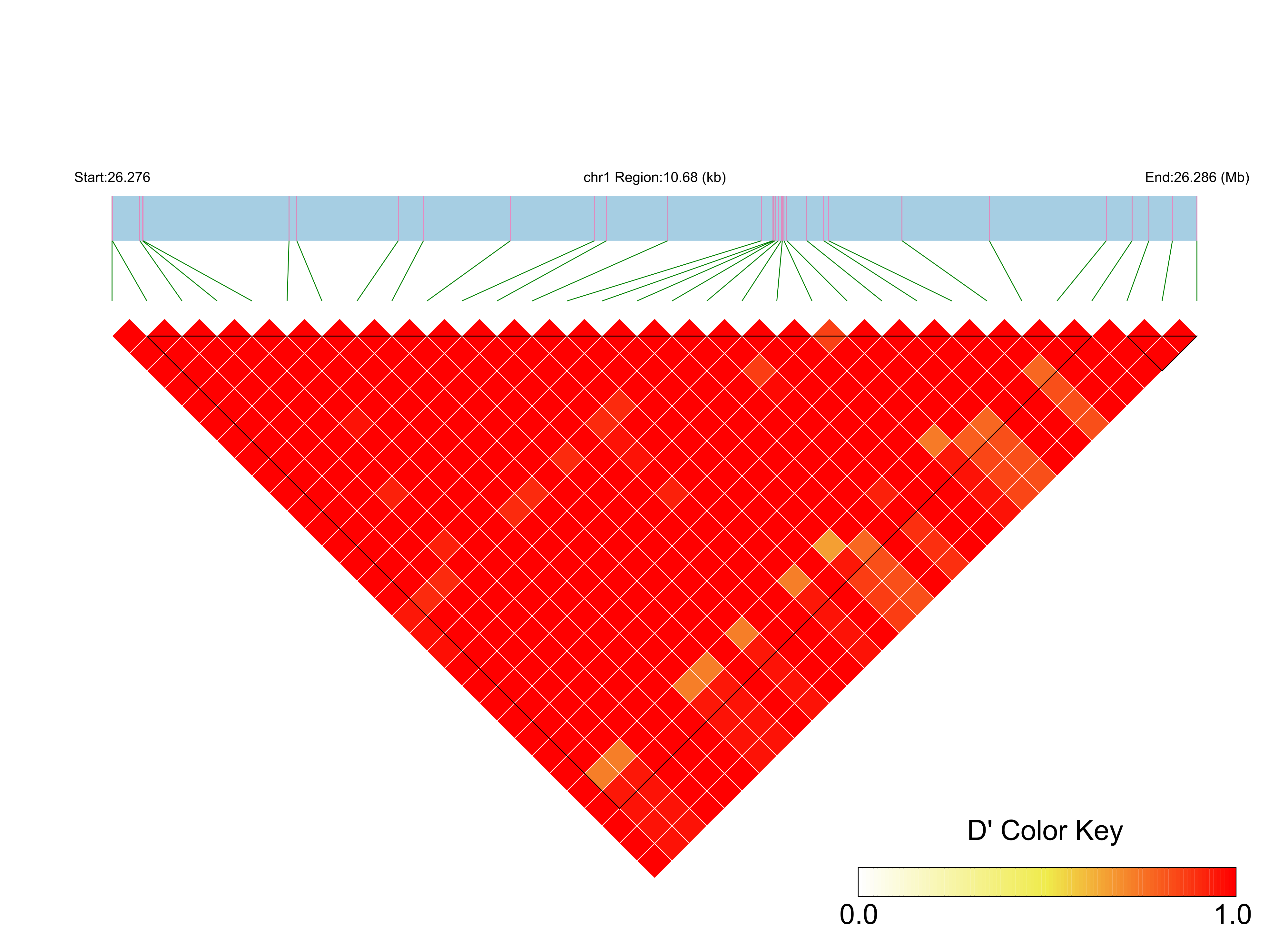 LD