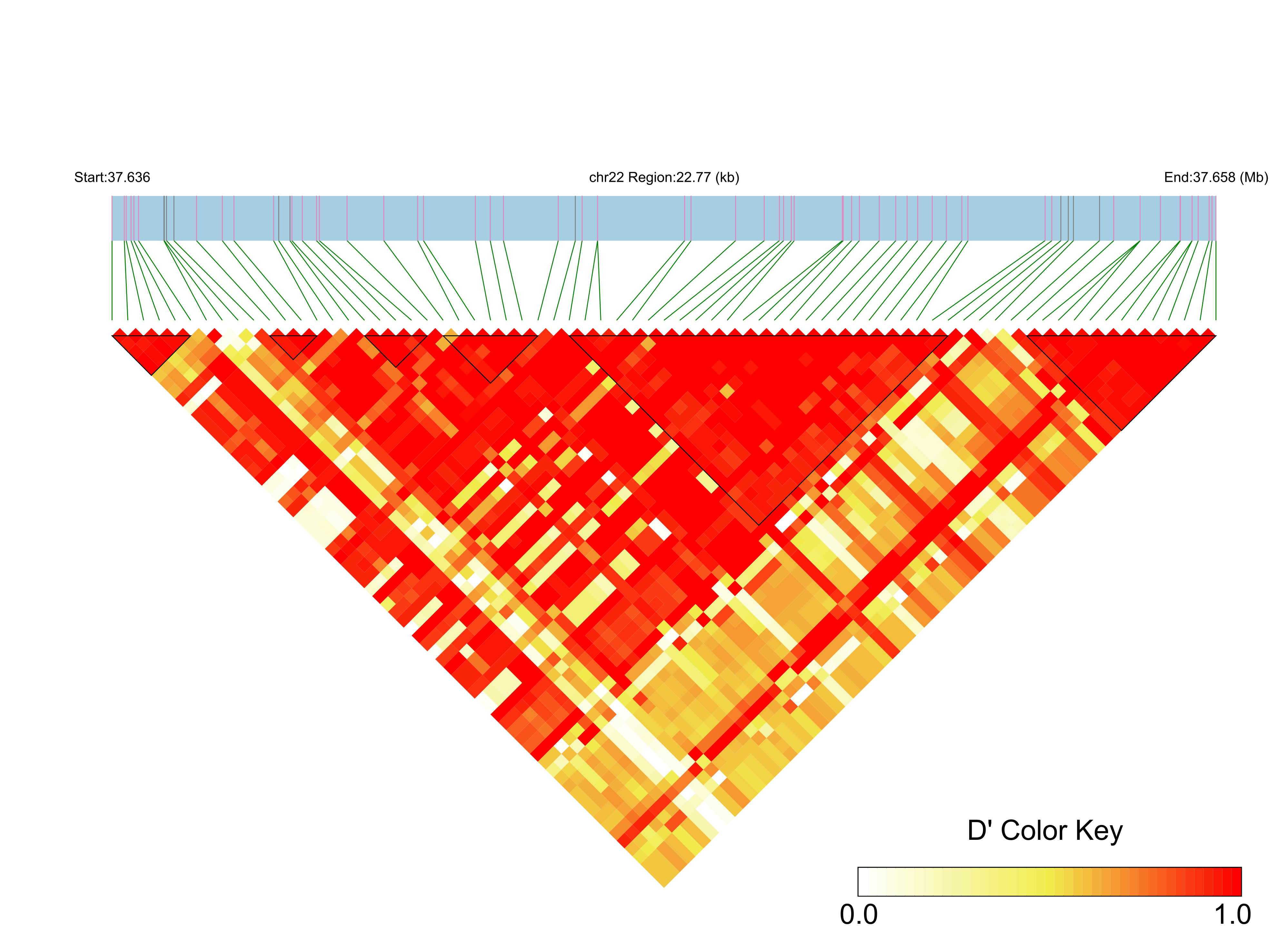LD