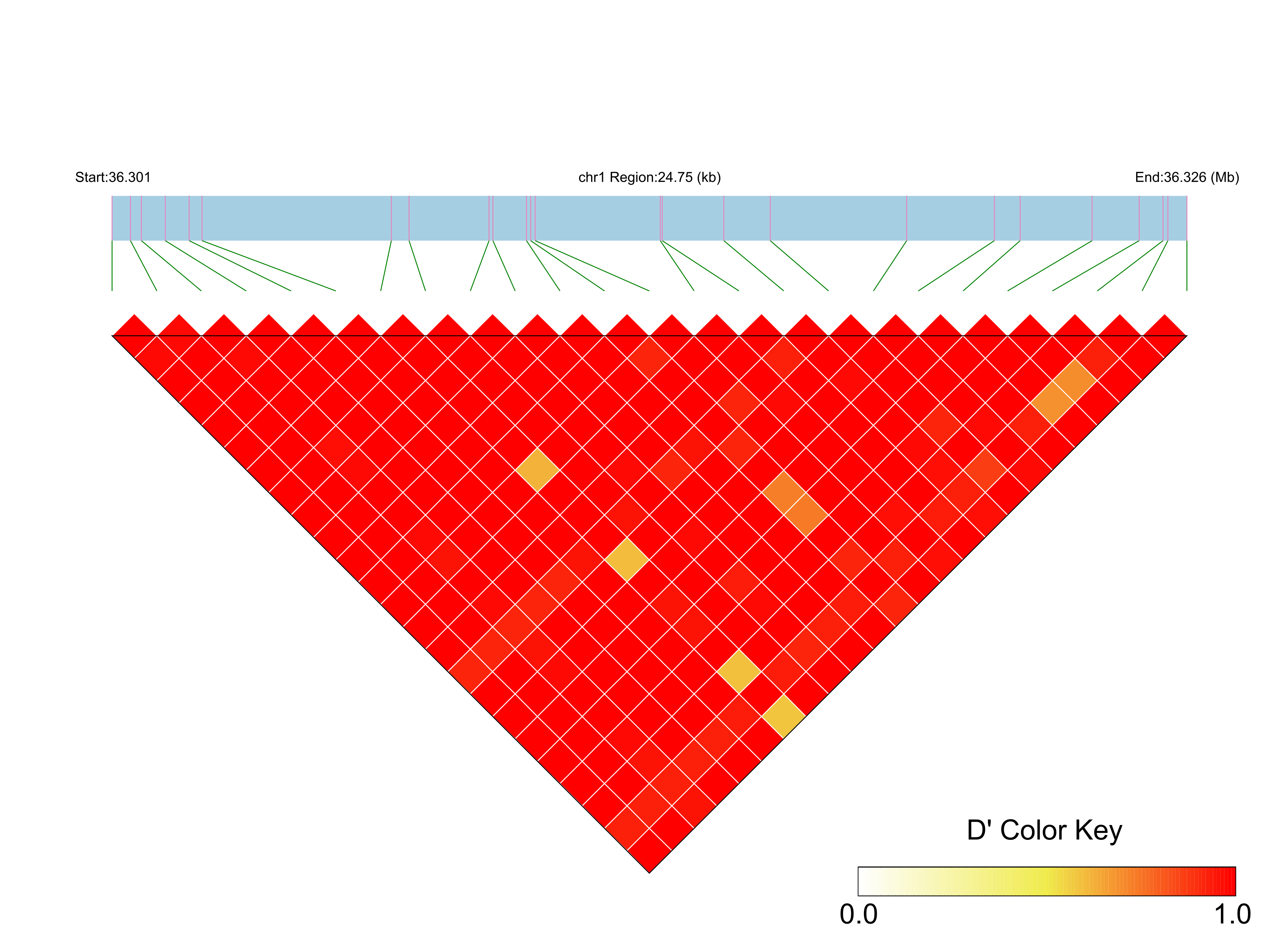 LD