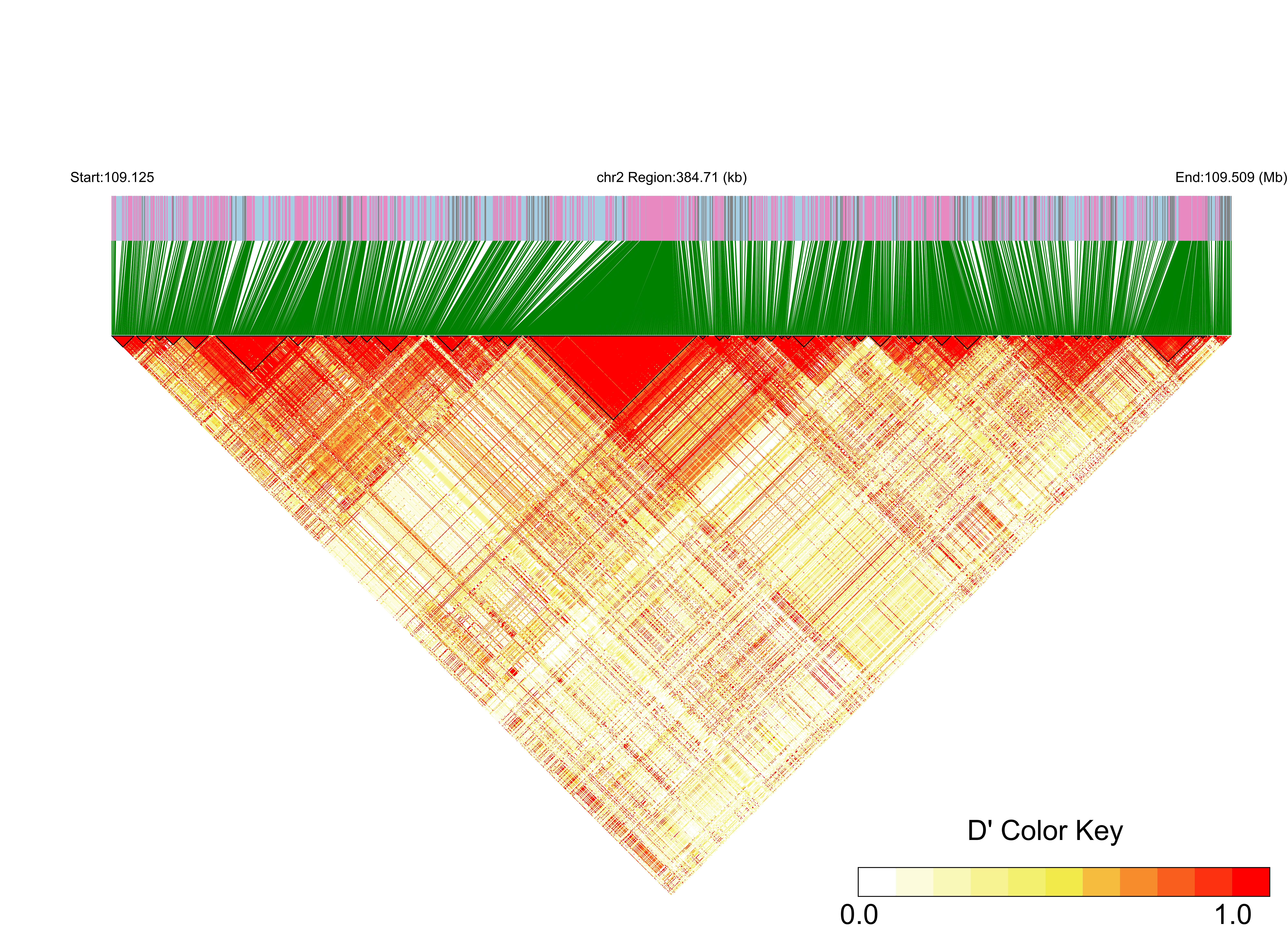 LD