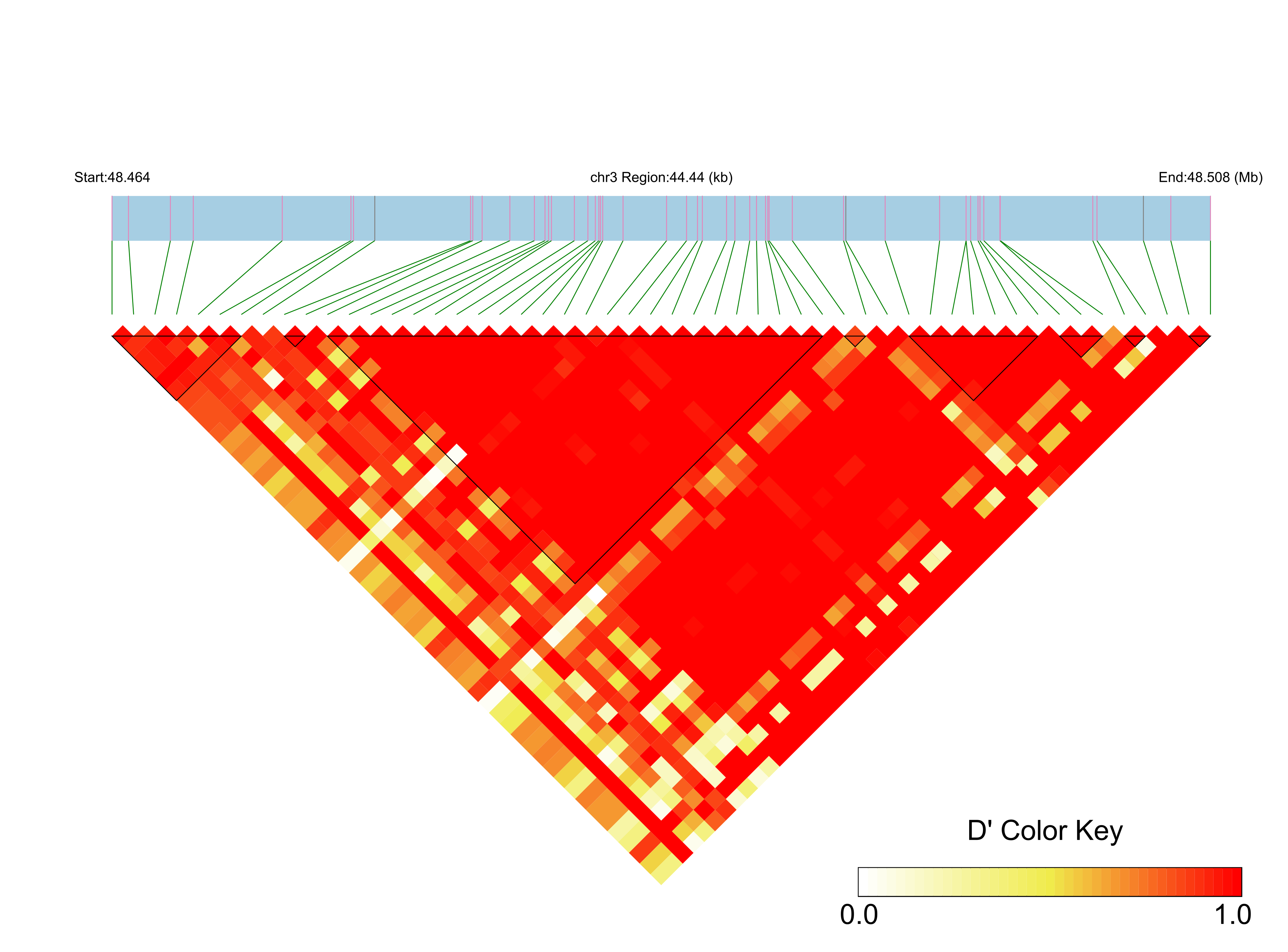 LD