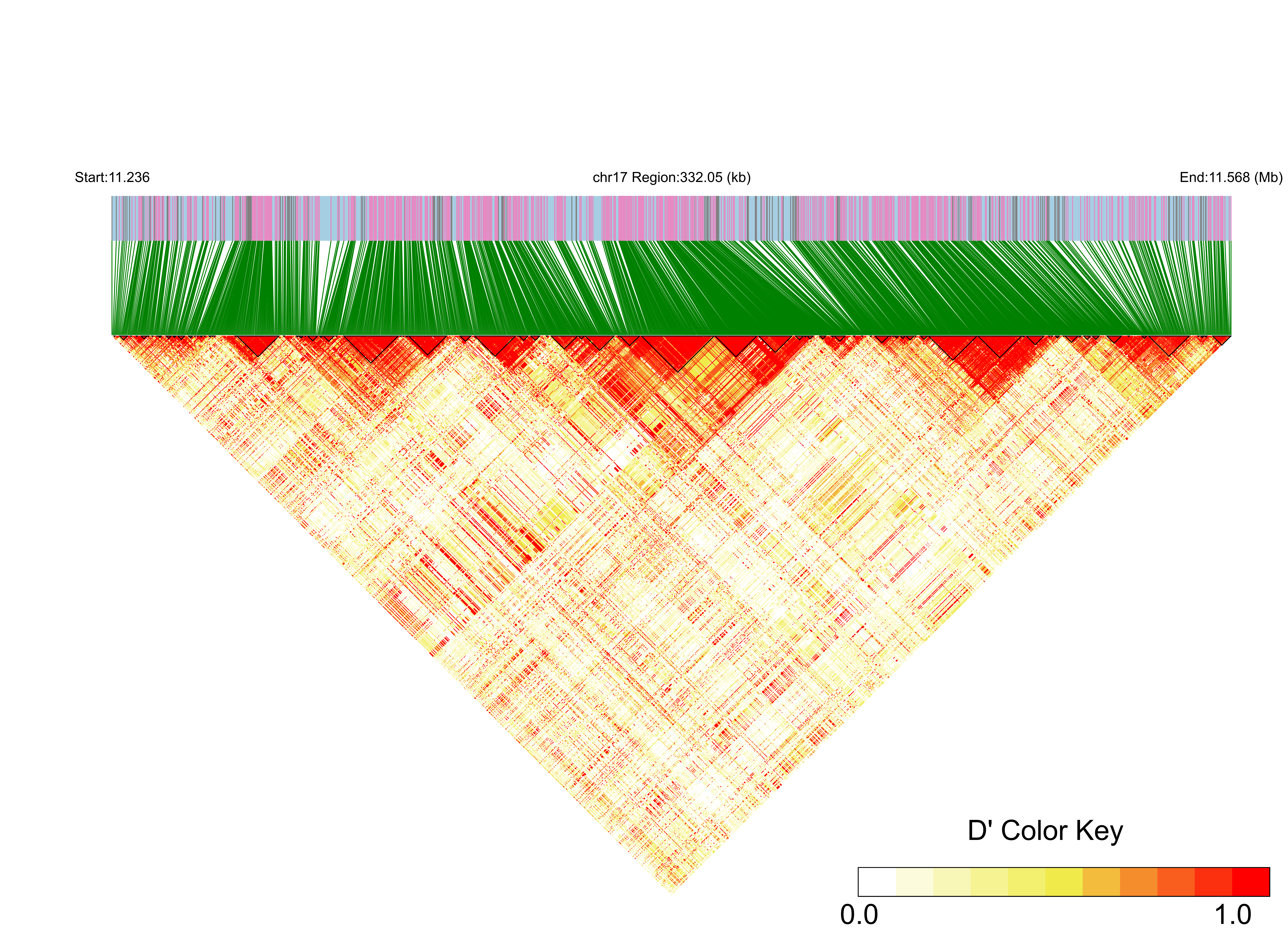 LD
