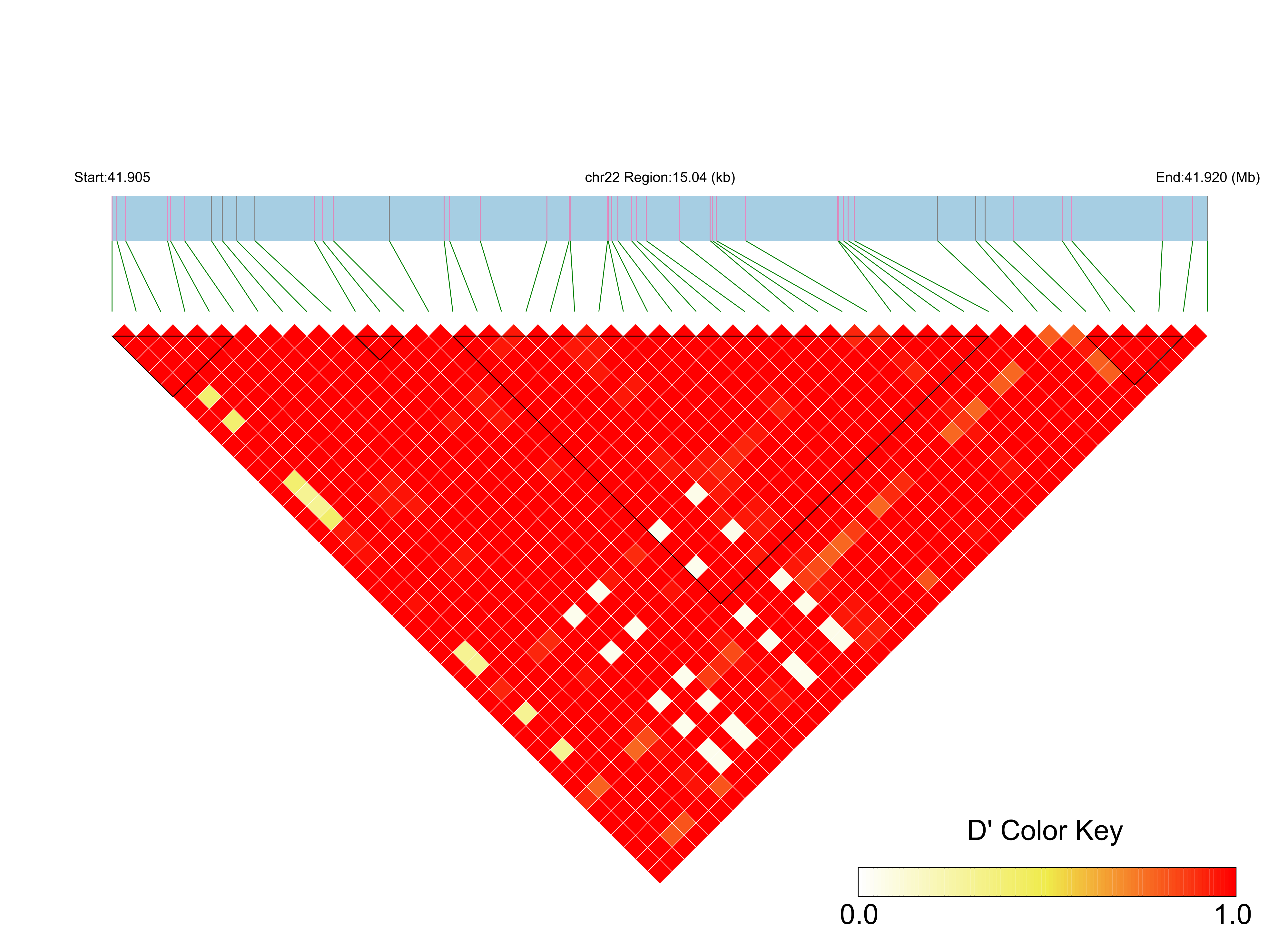 LD