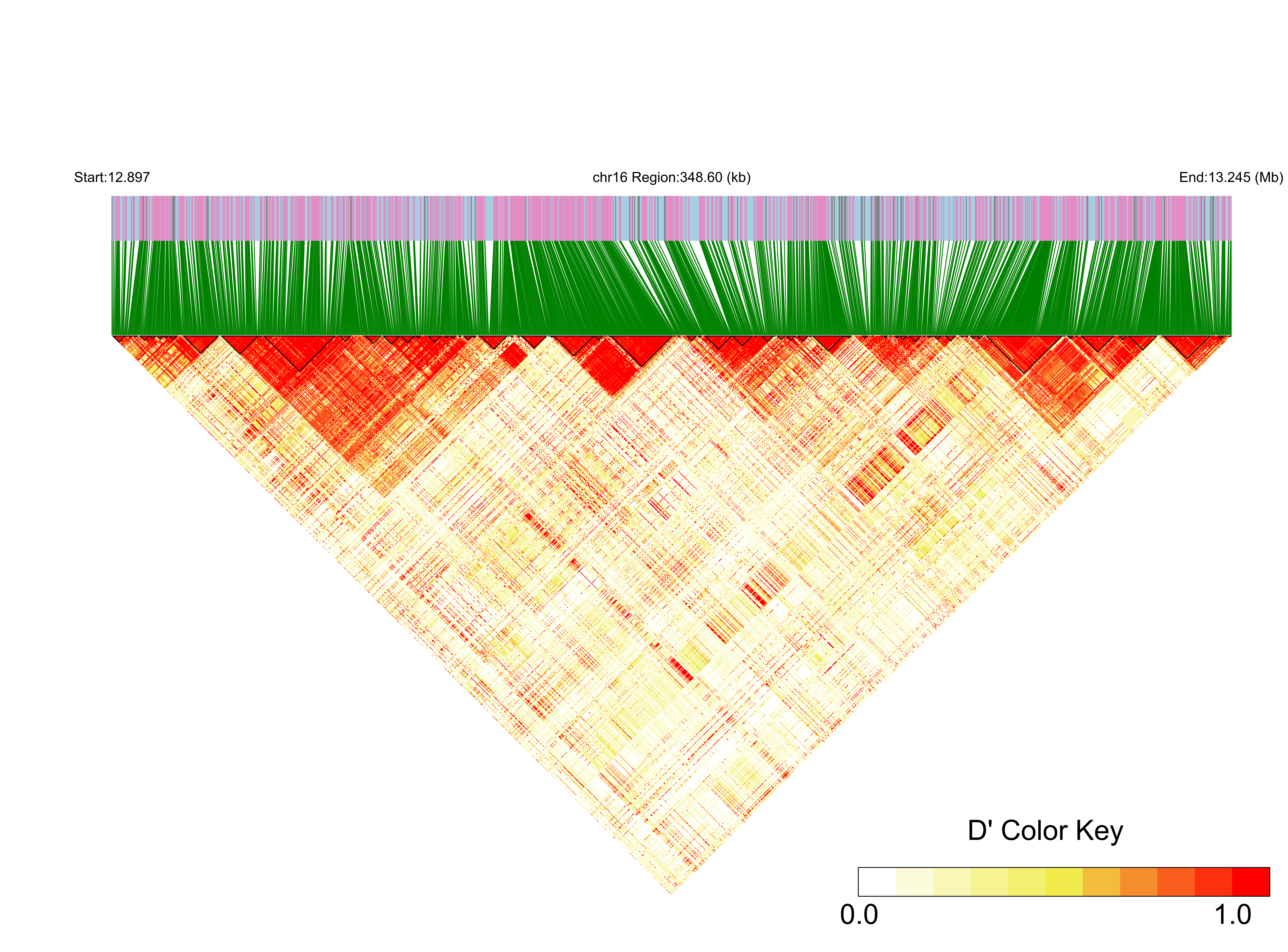LD