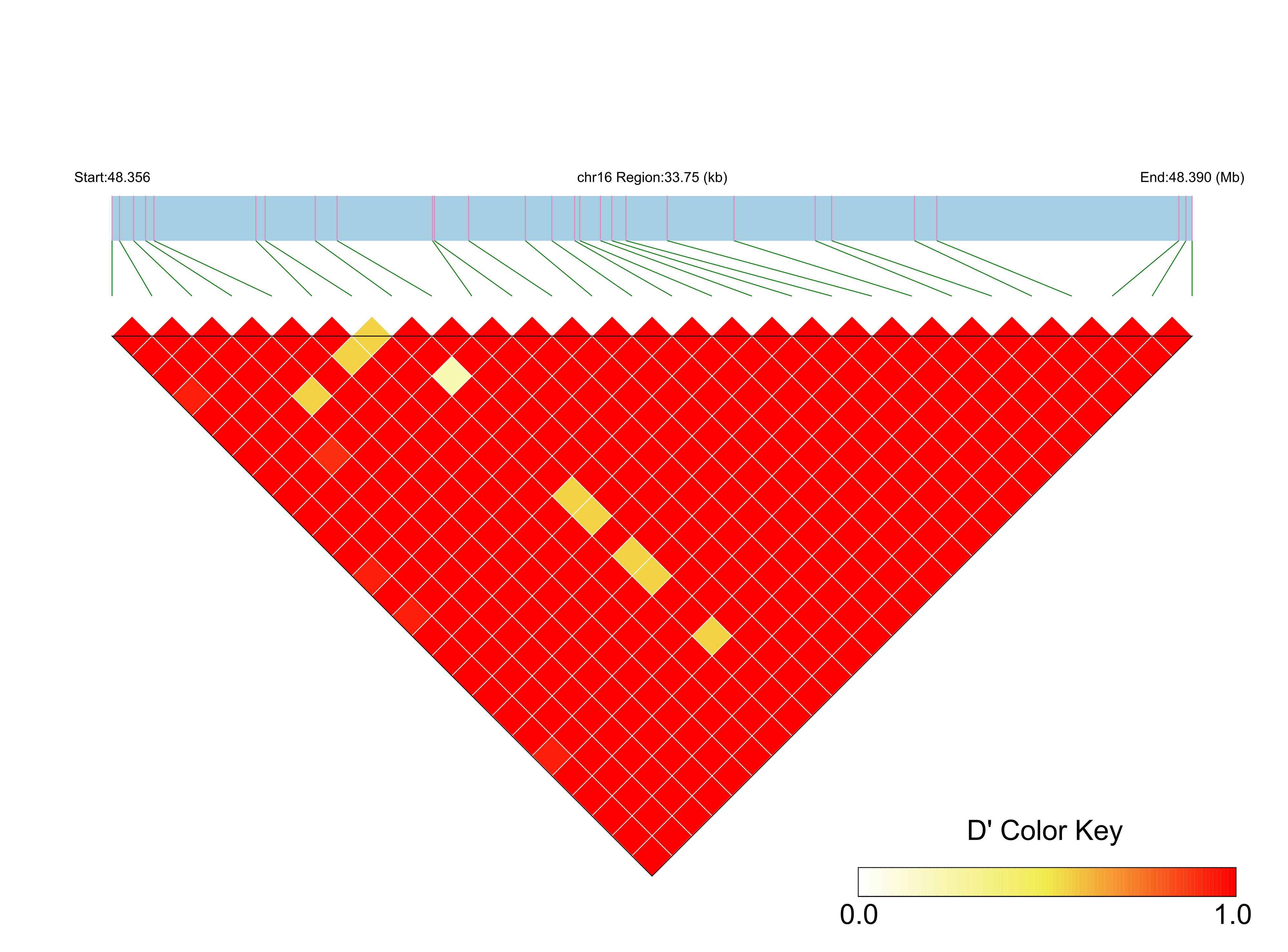 LD
