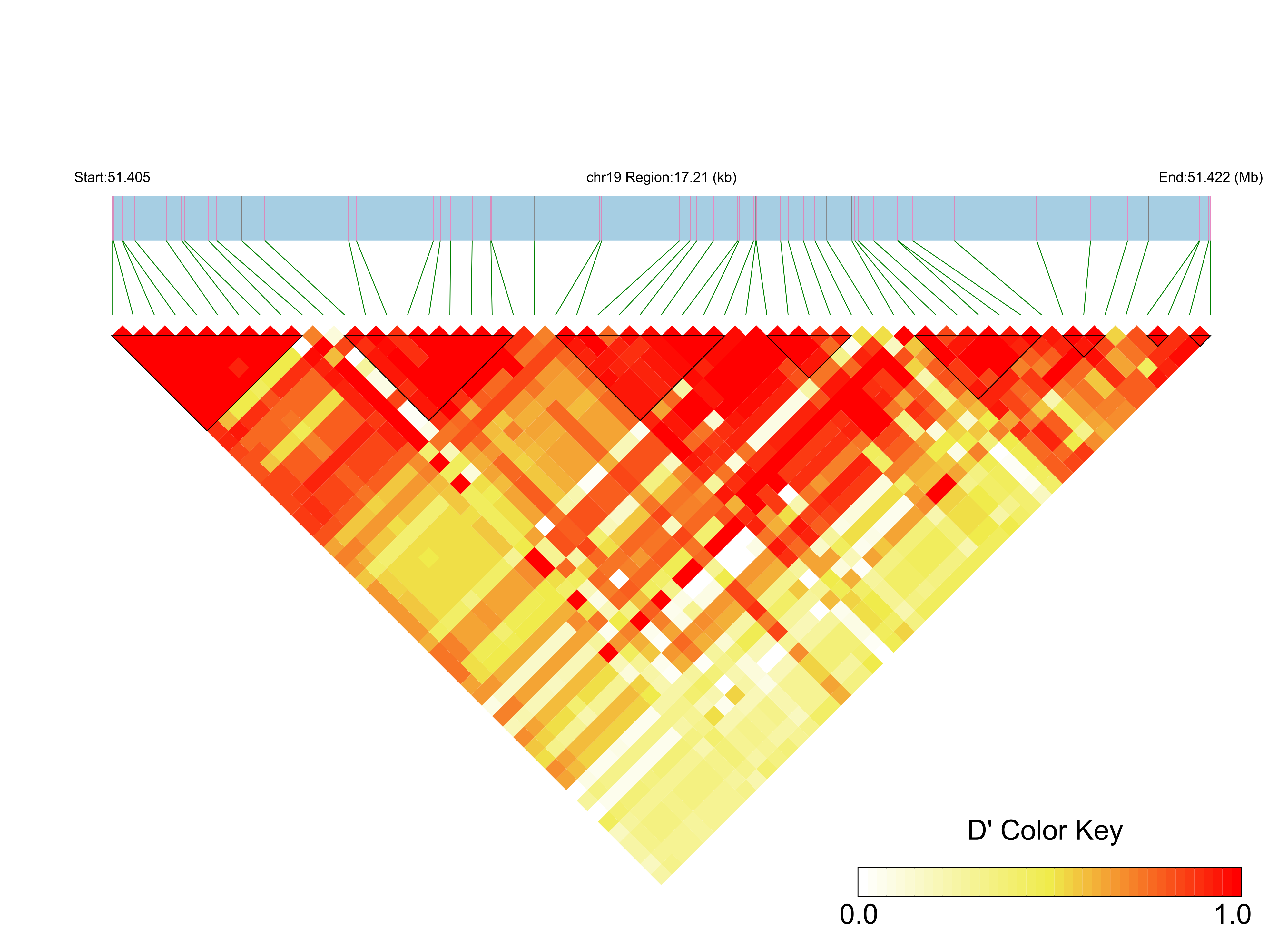 LD