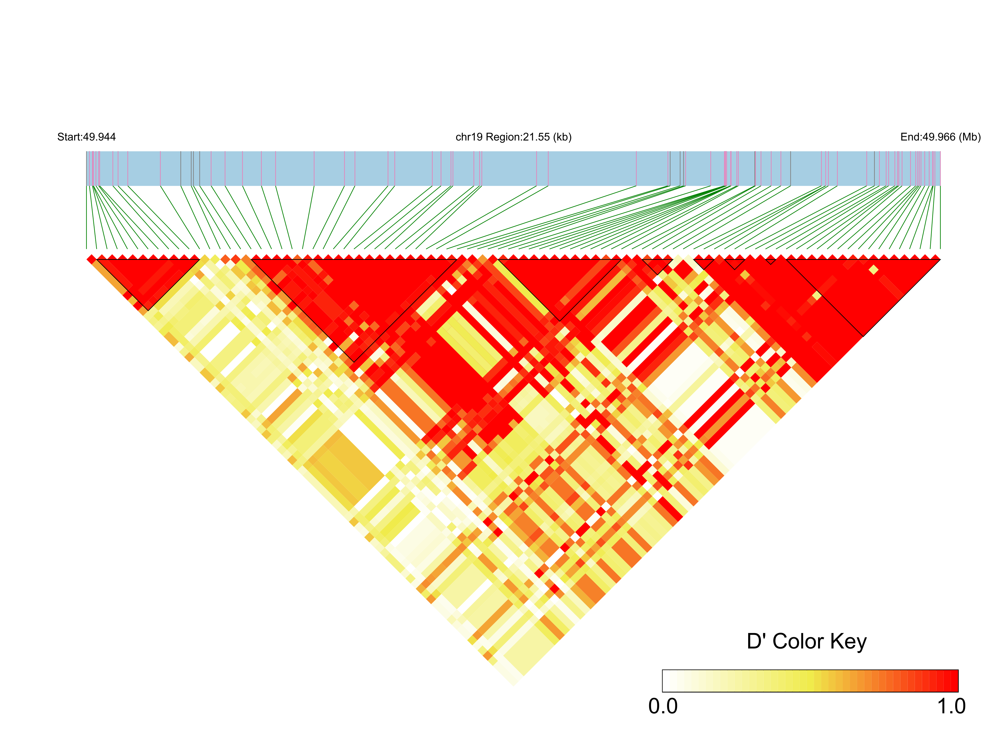 LD