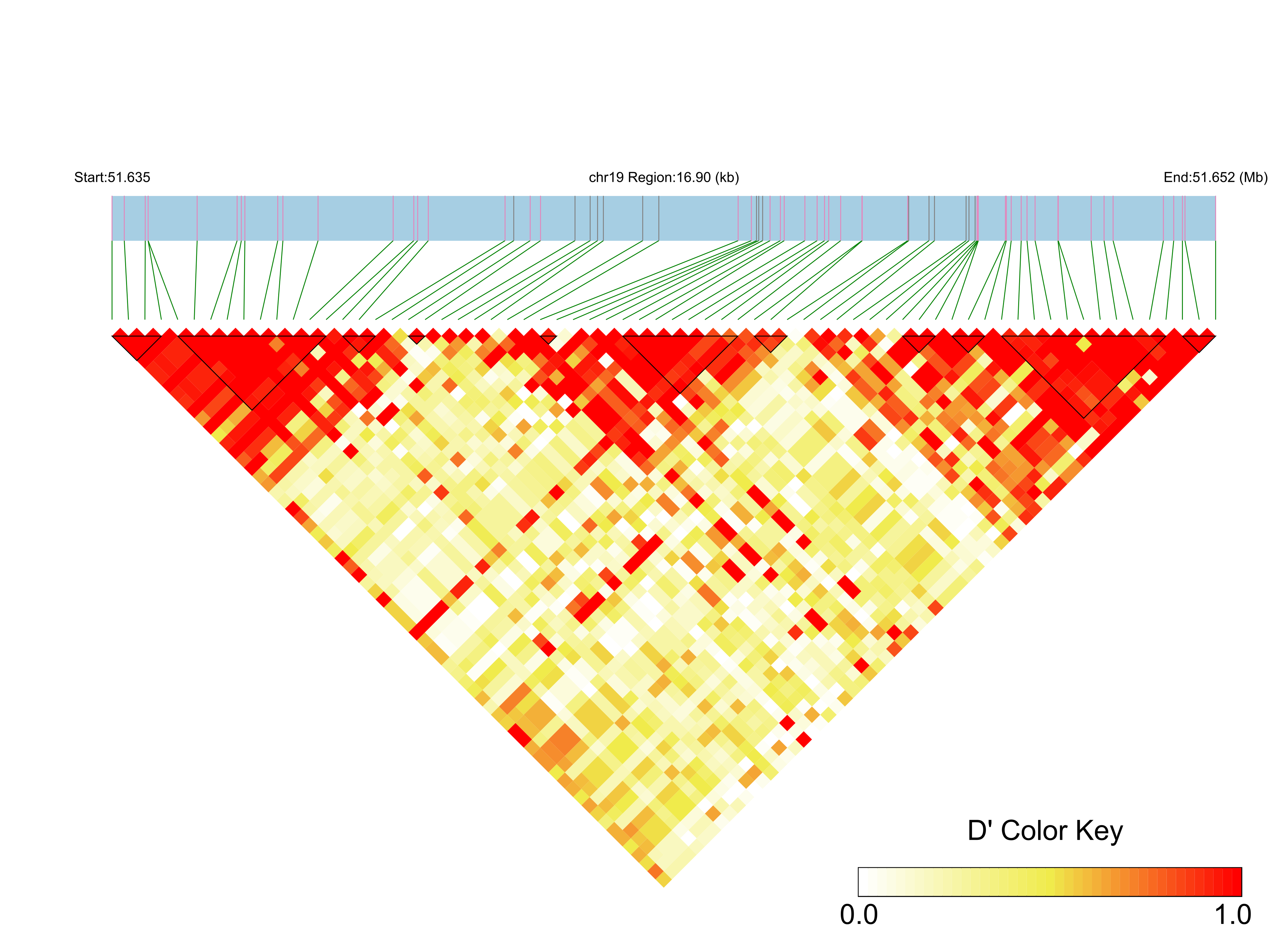 LD