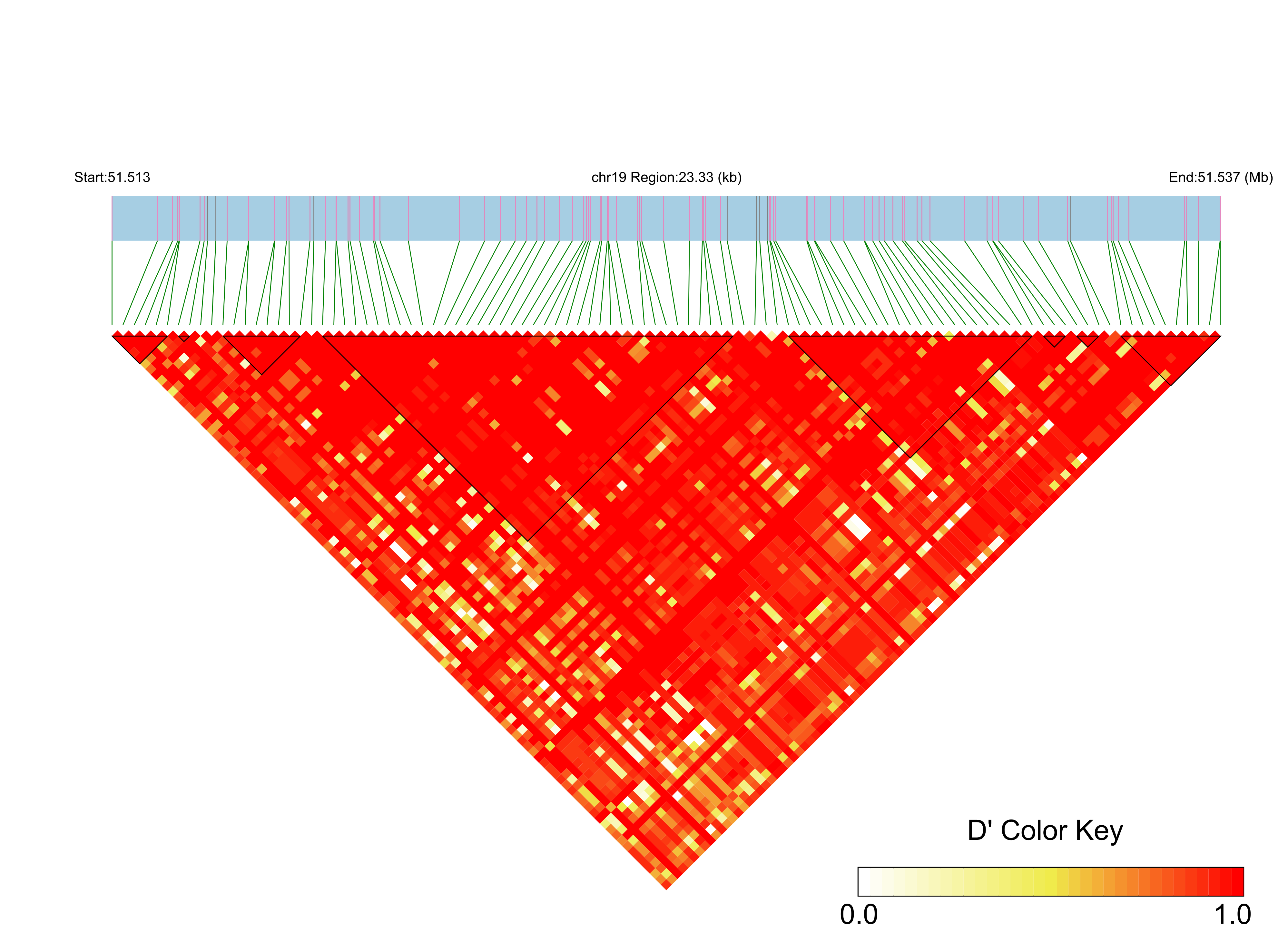 LD