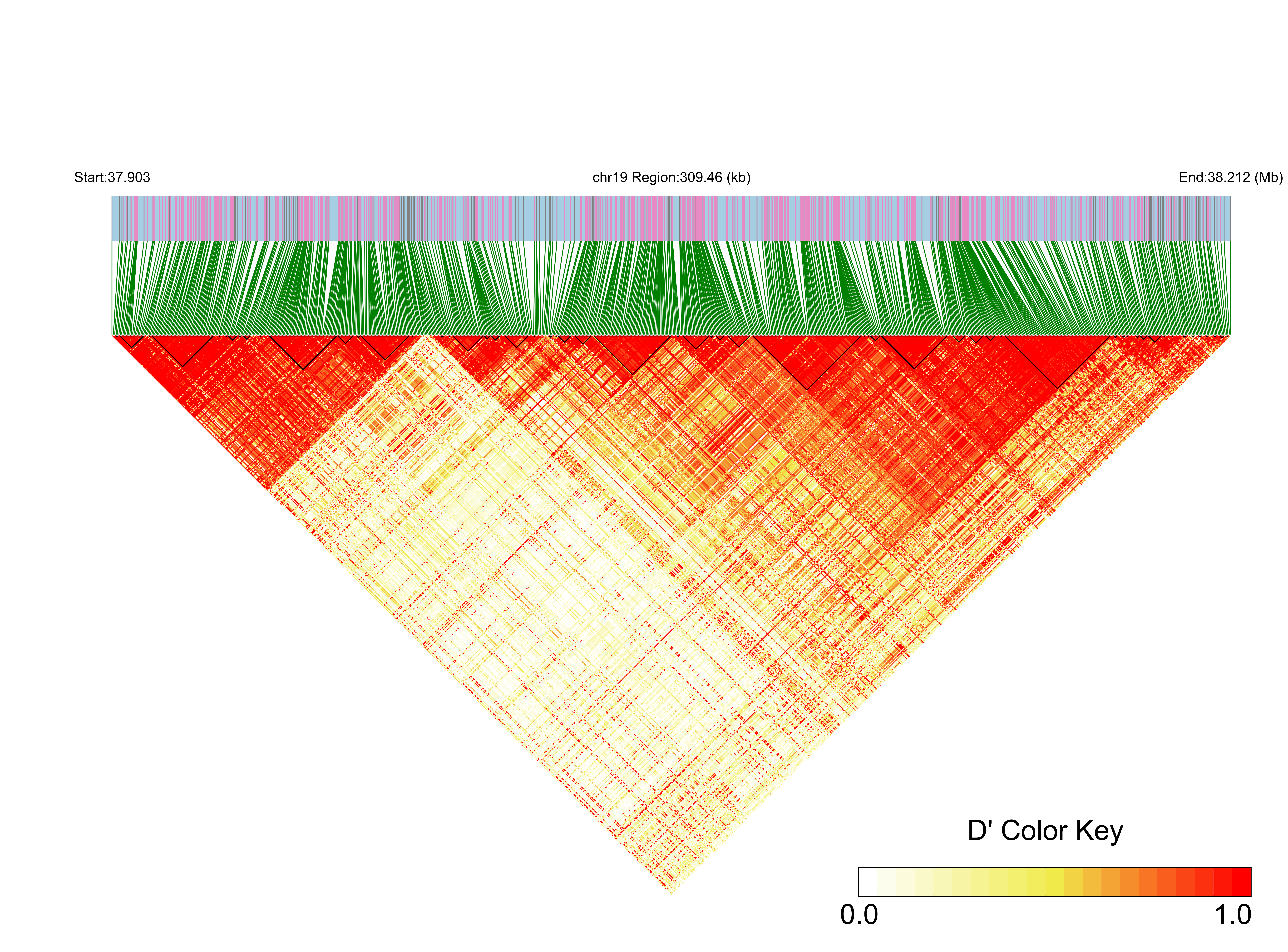 LD