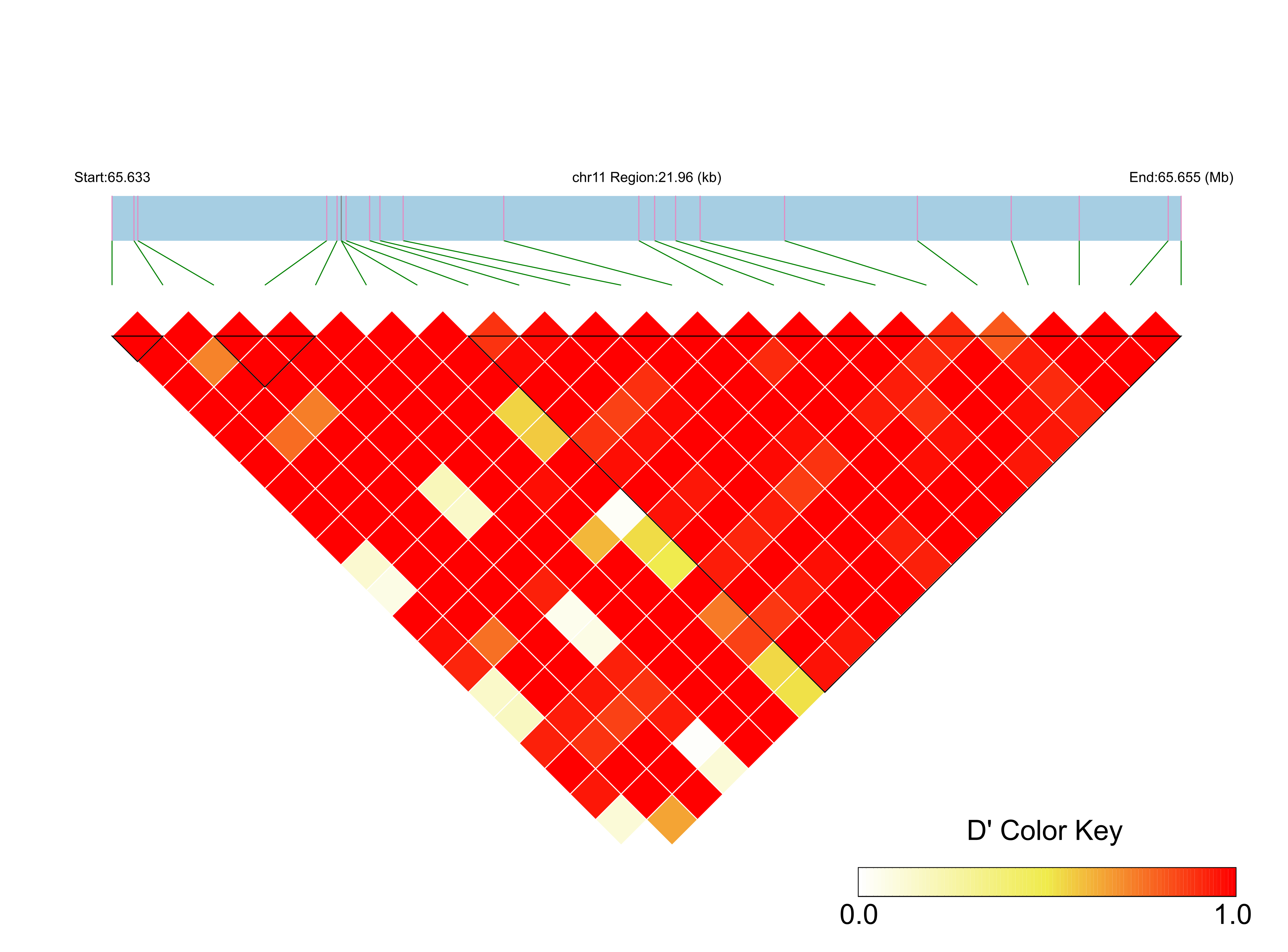 LD