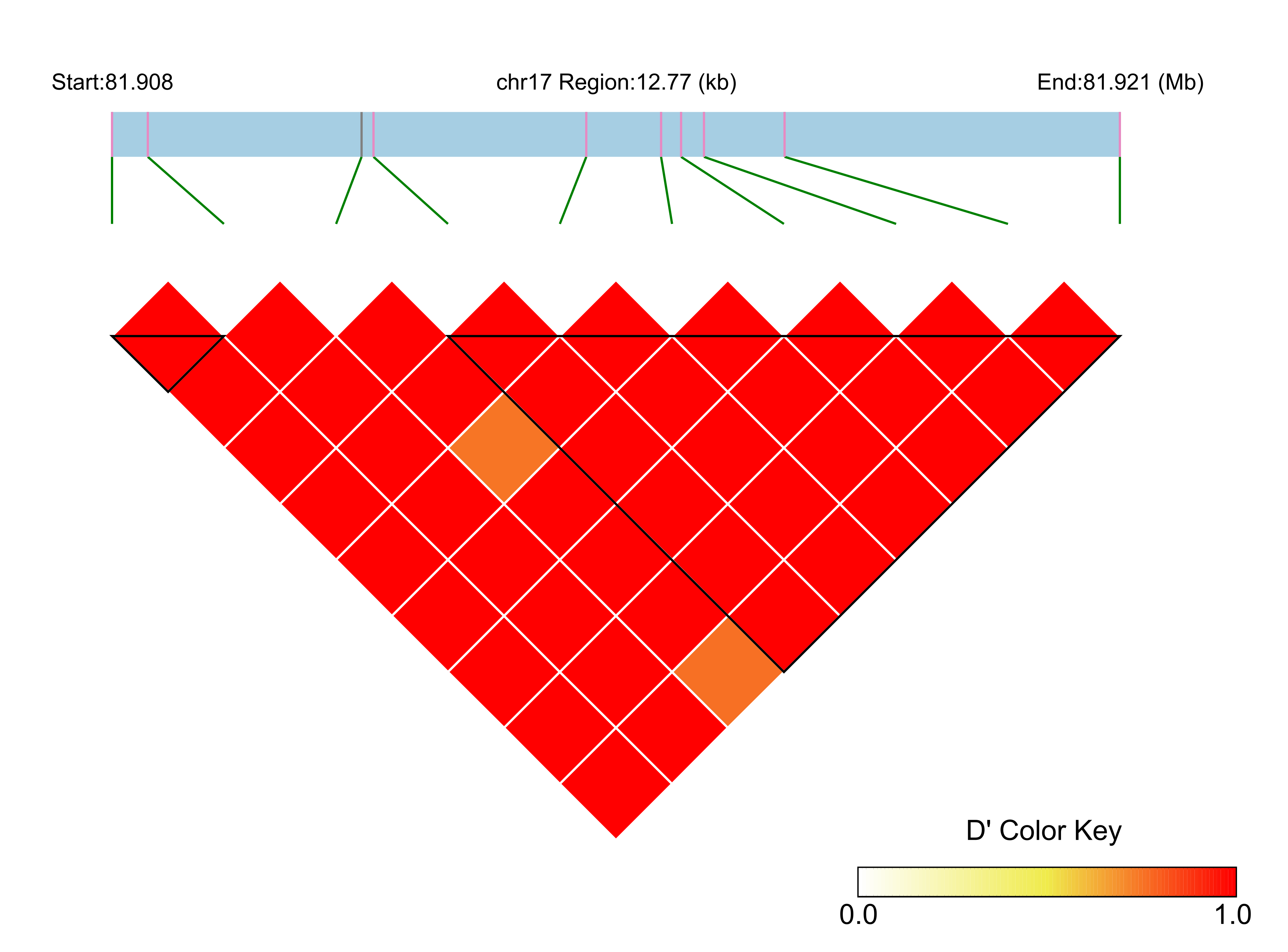 LD
