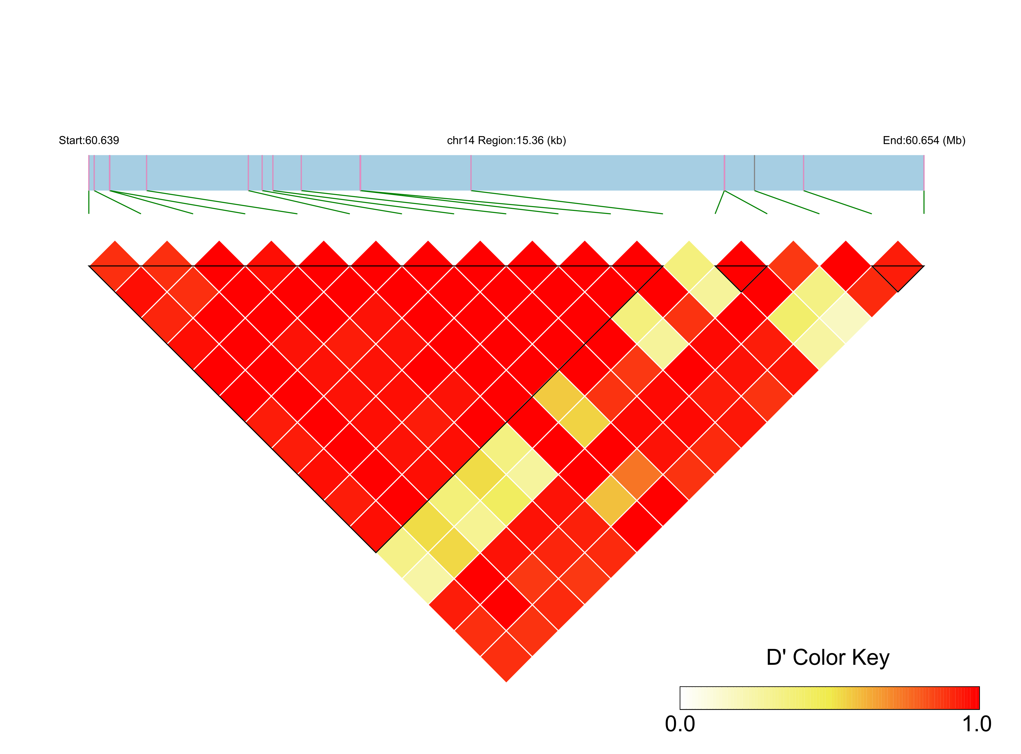 LD