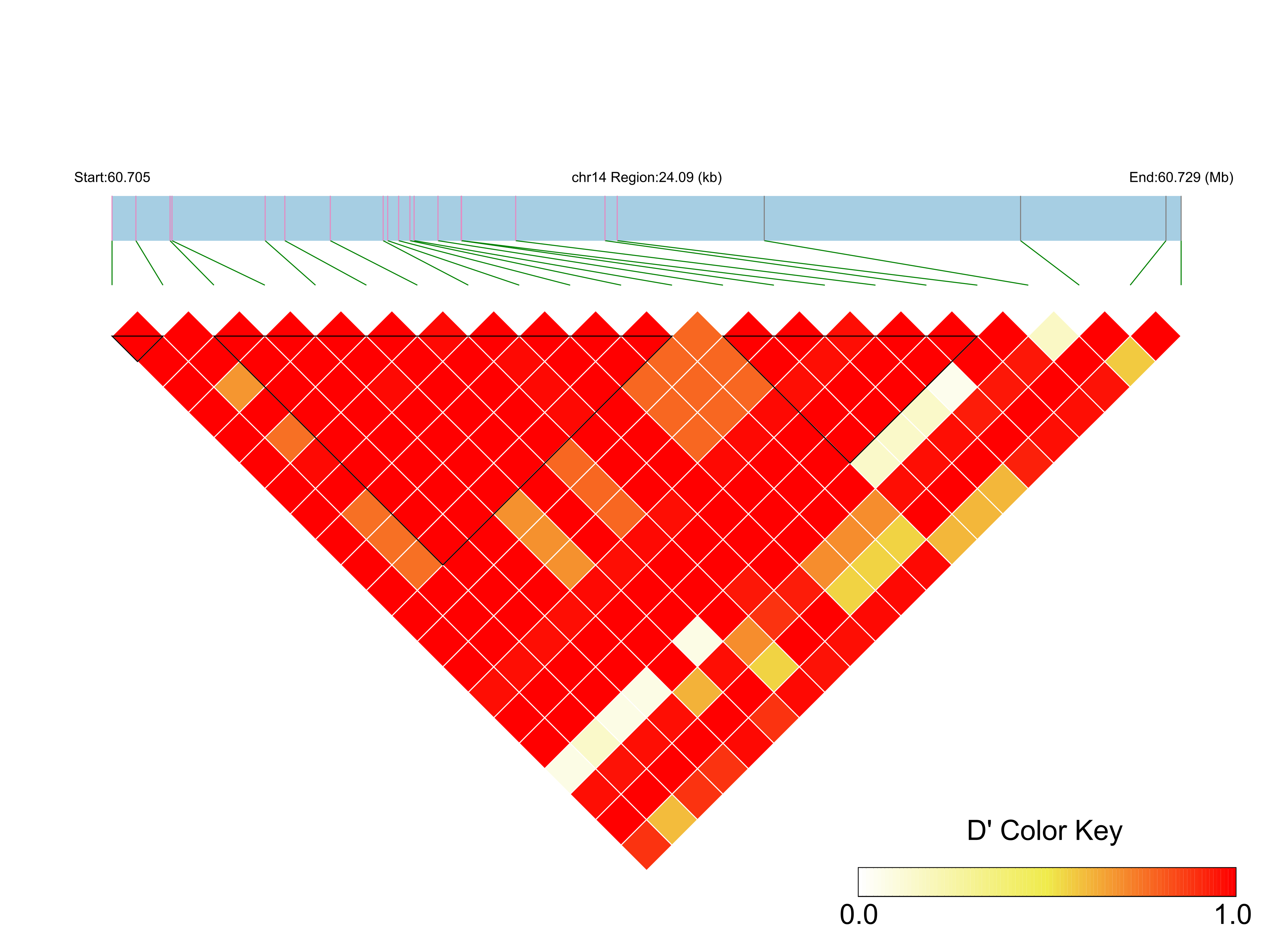 LD