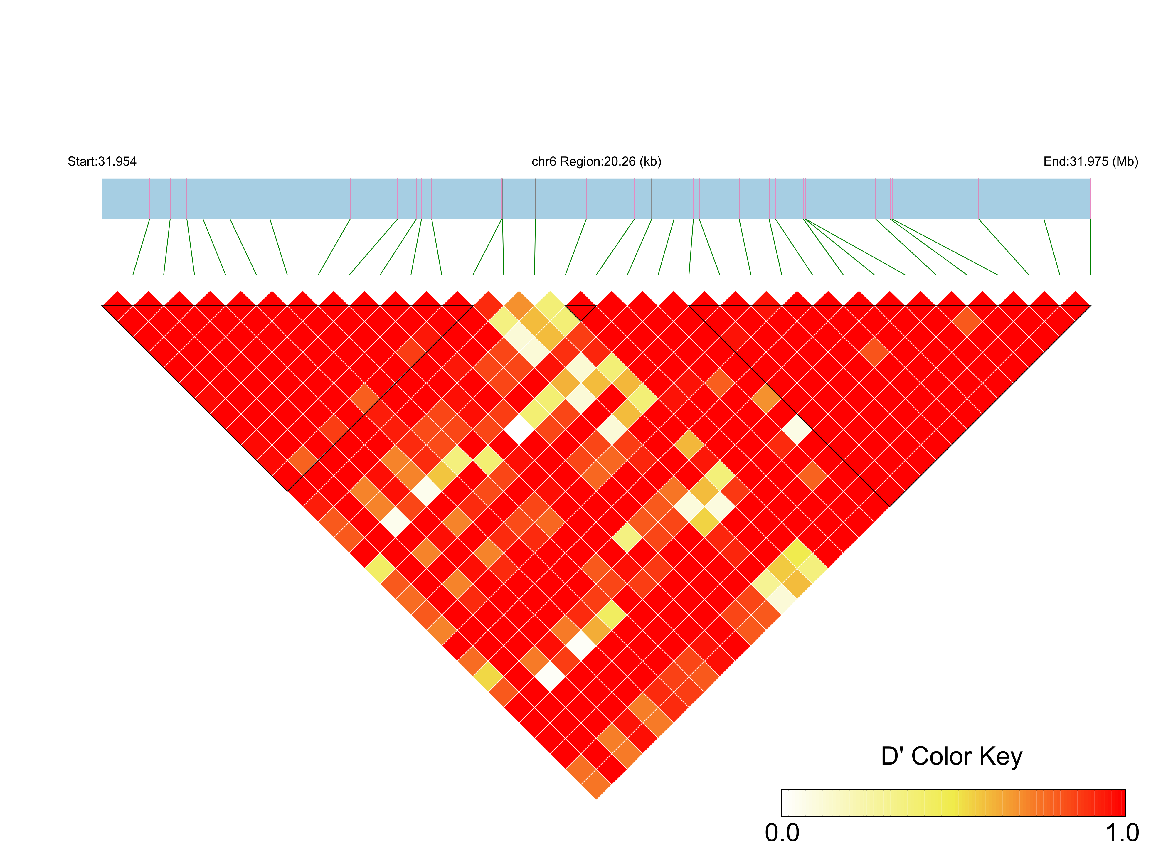 LD