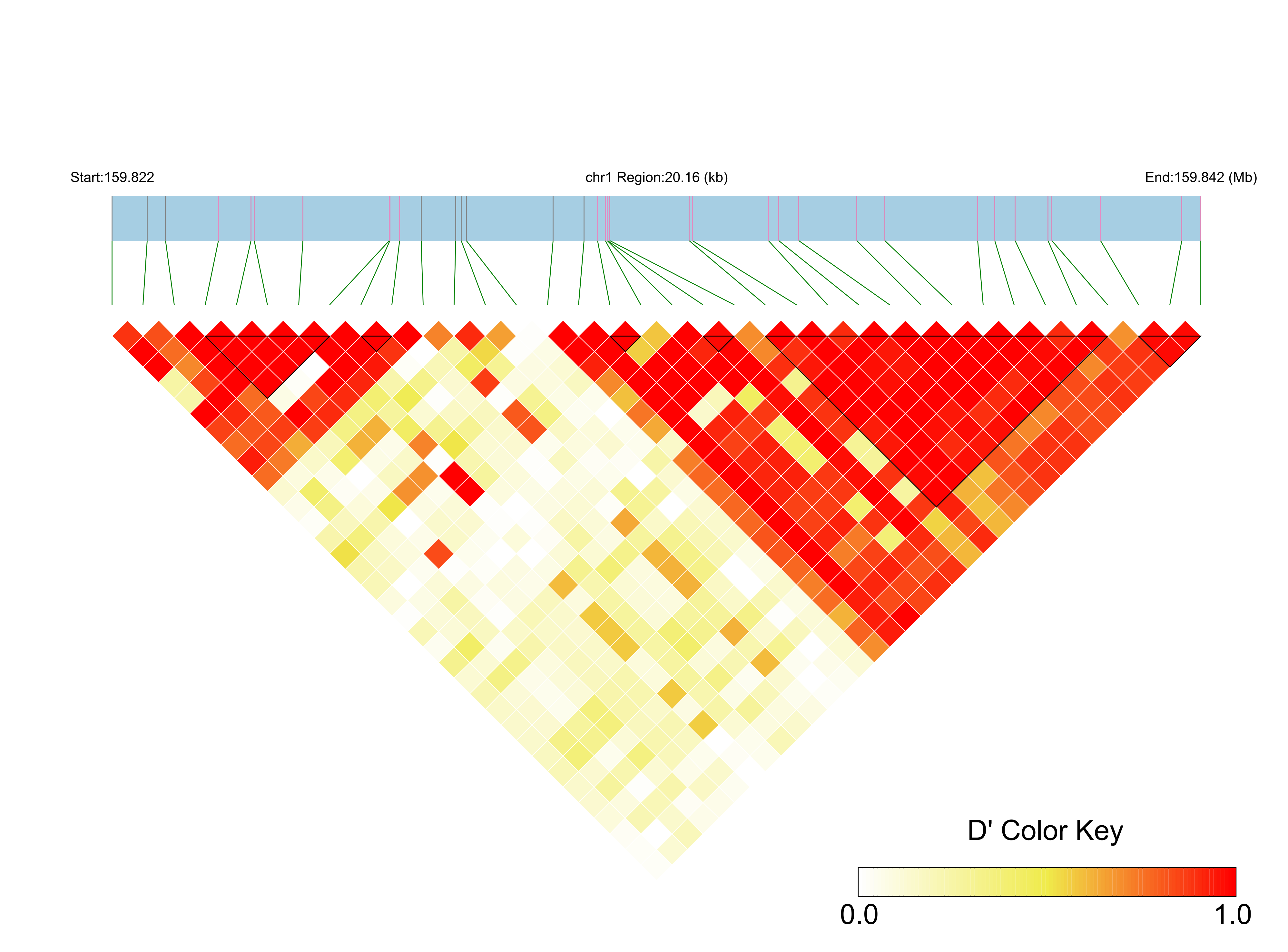 LD