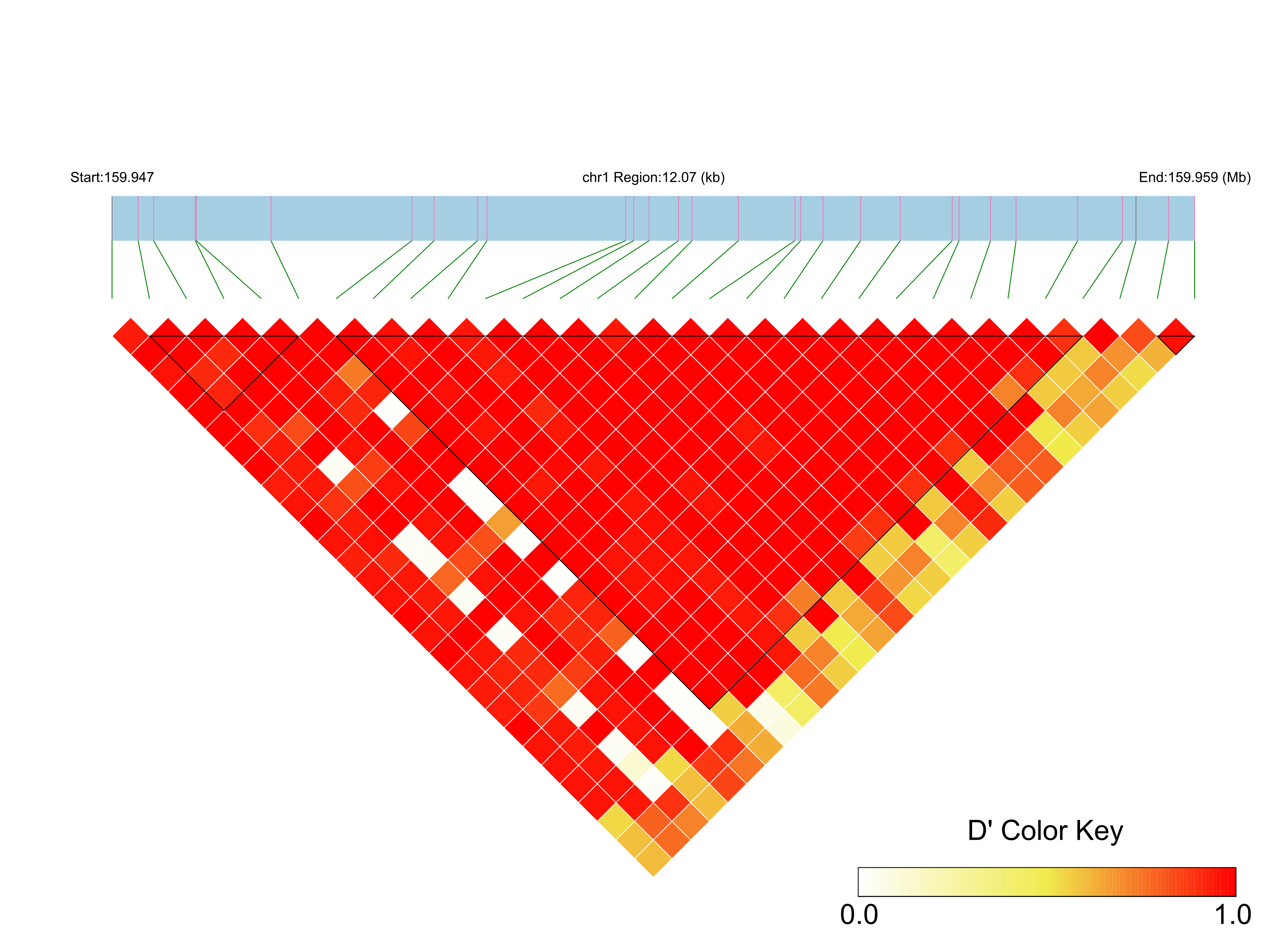 LD