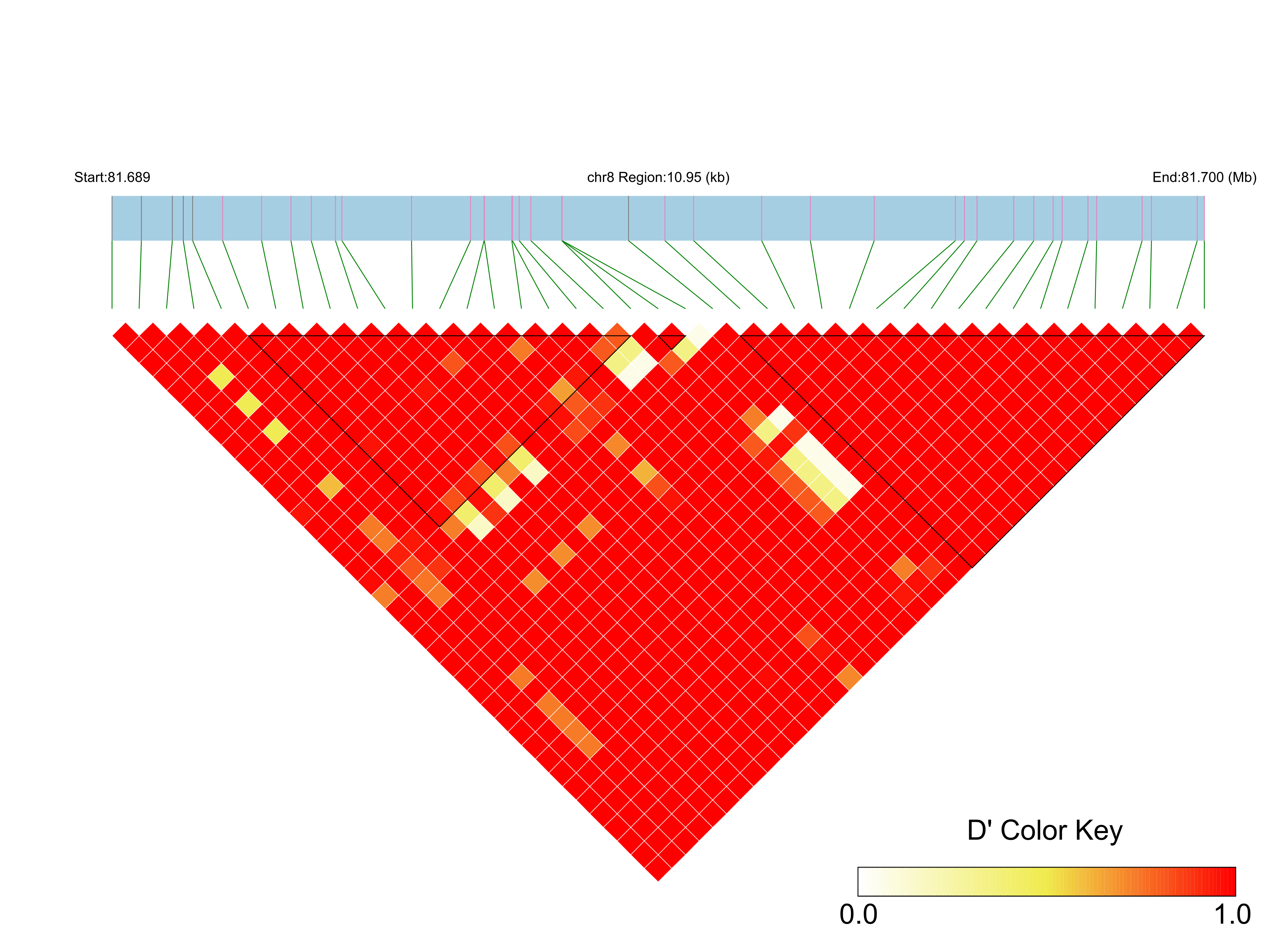 LD