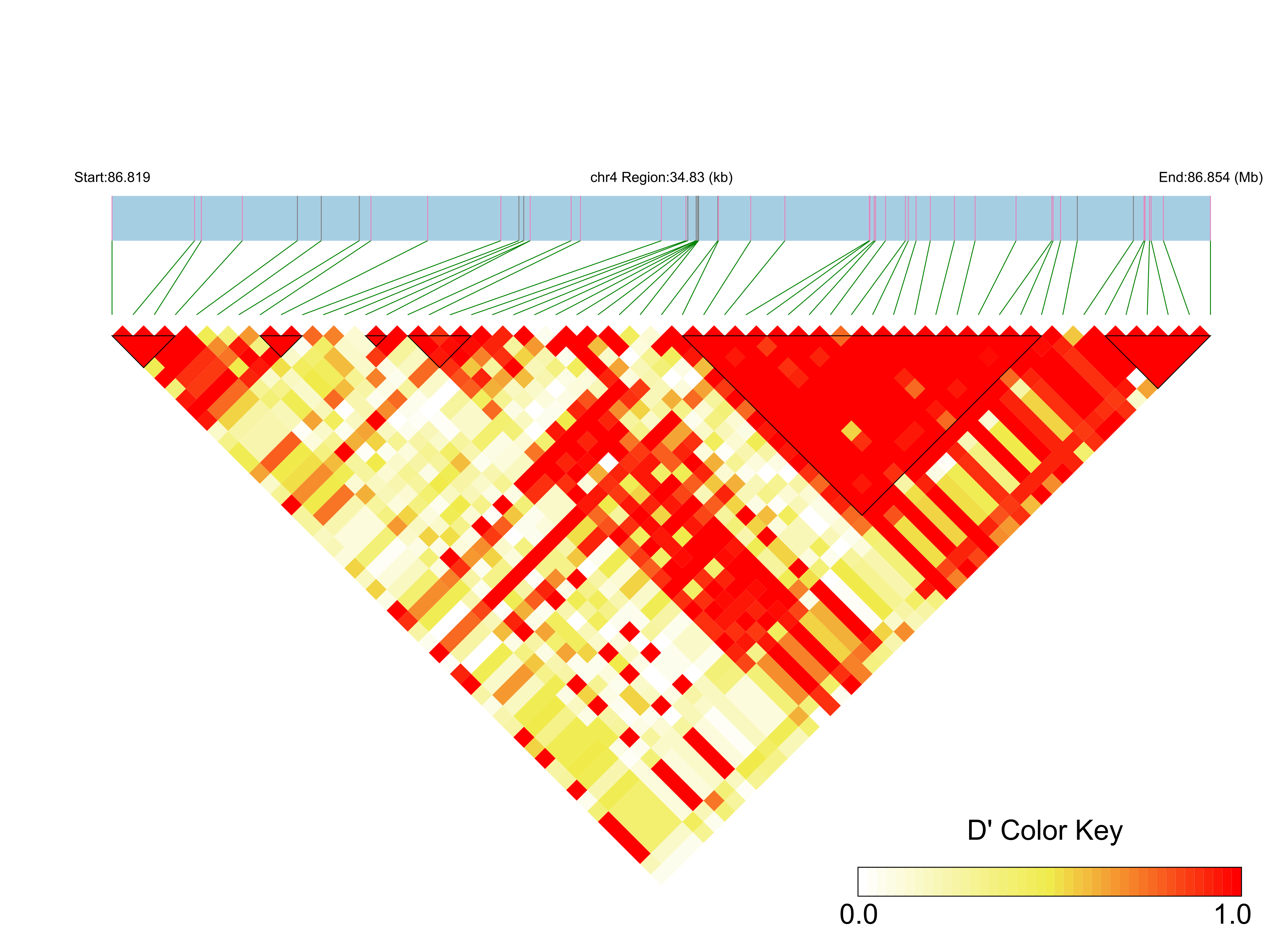 LD