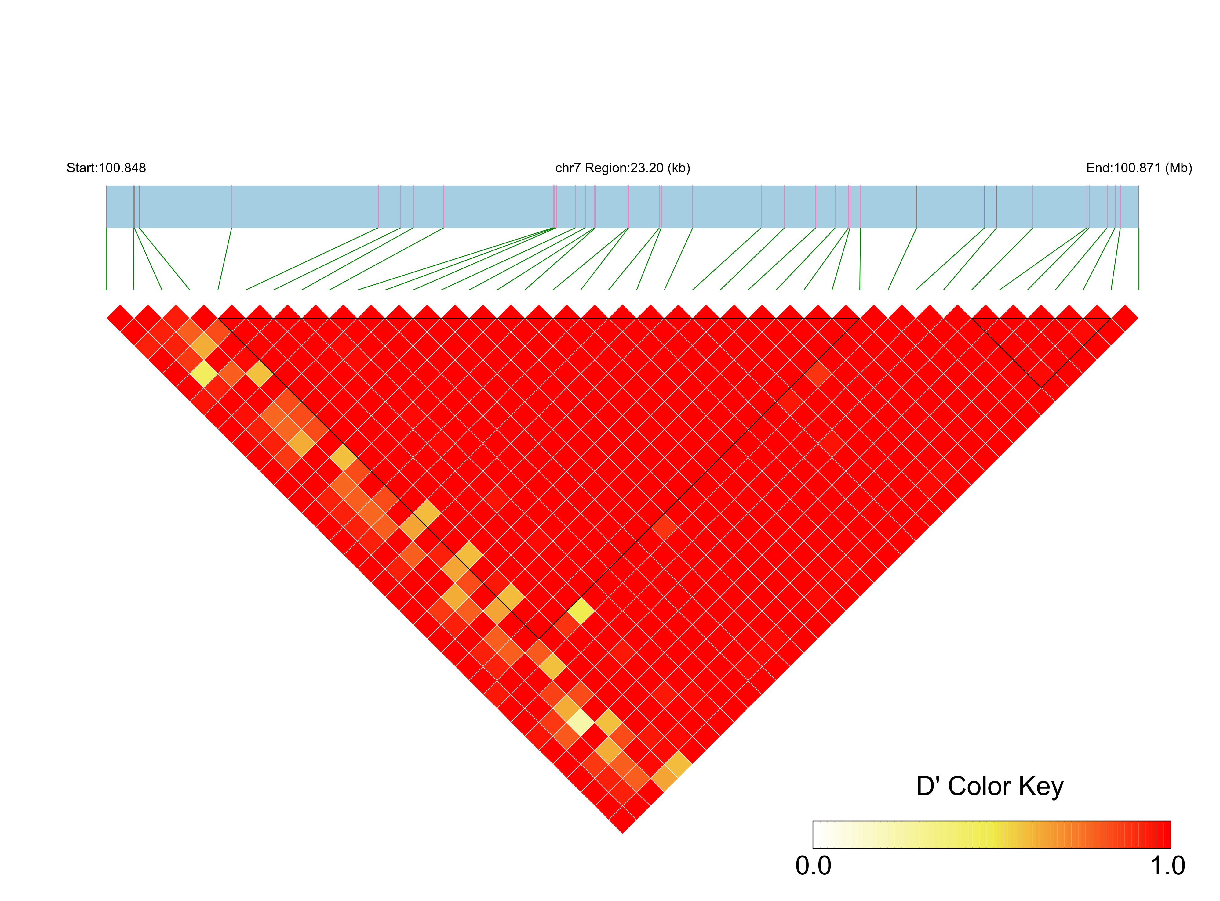 LD