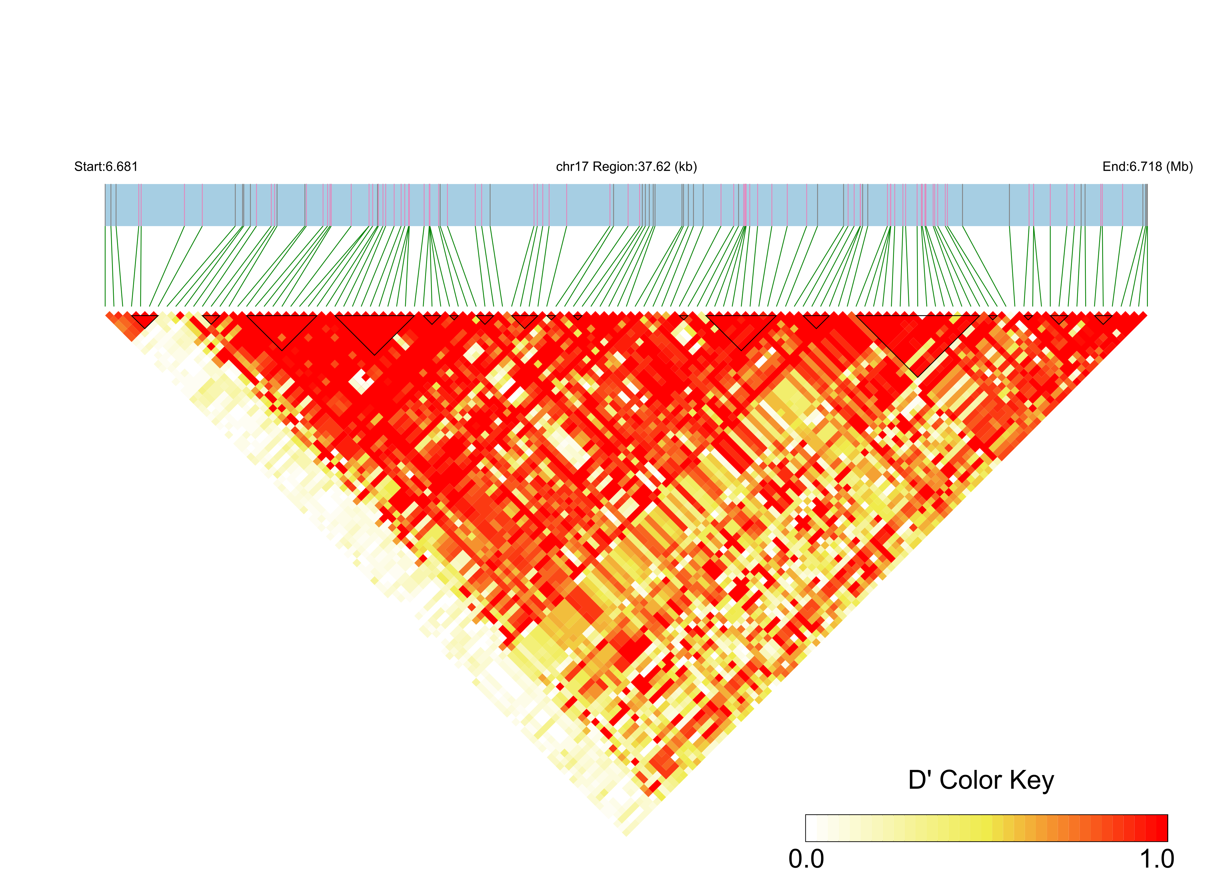 LD