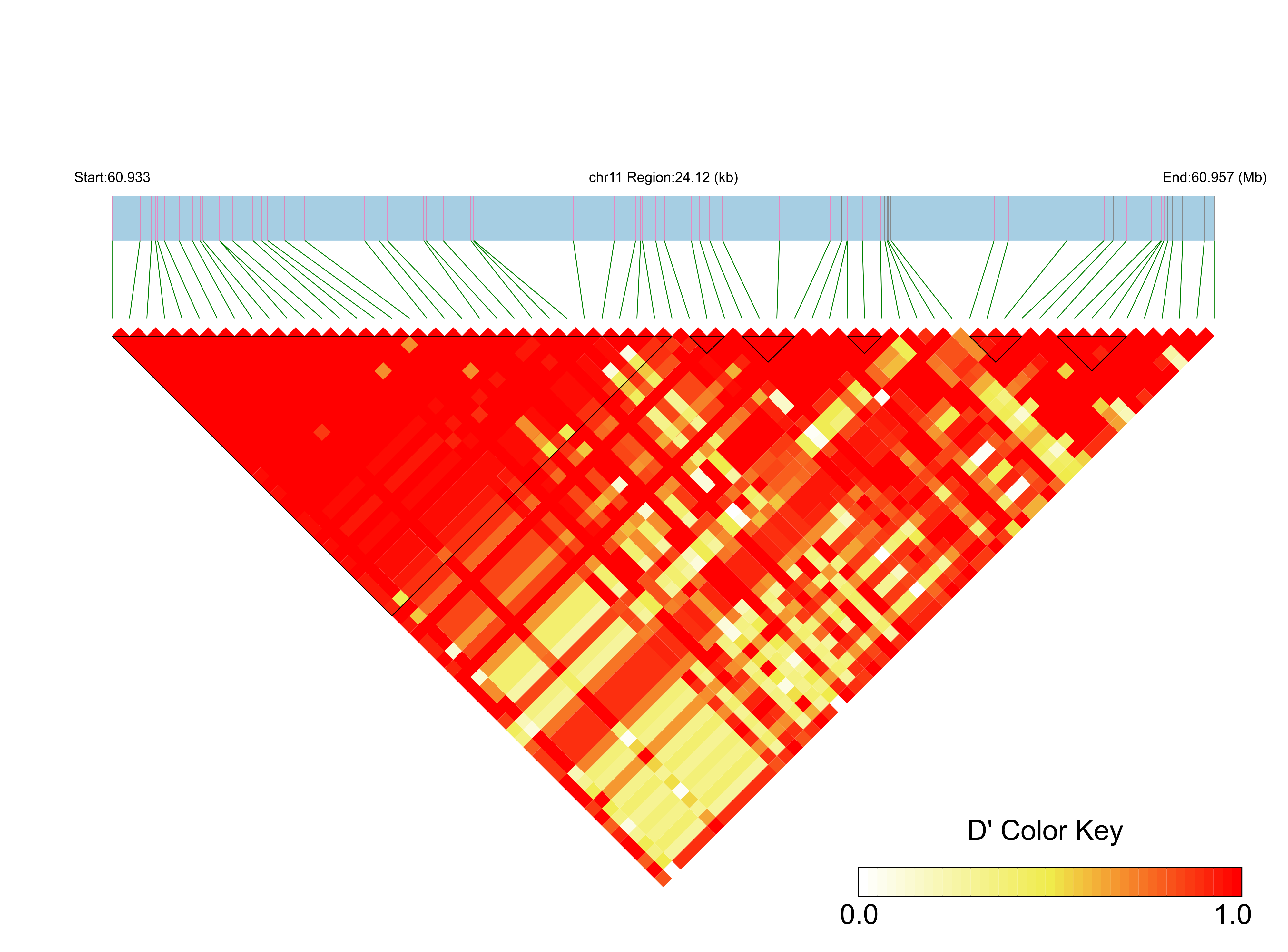 LD