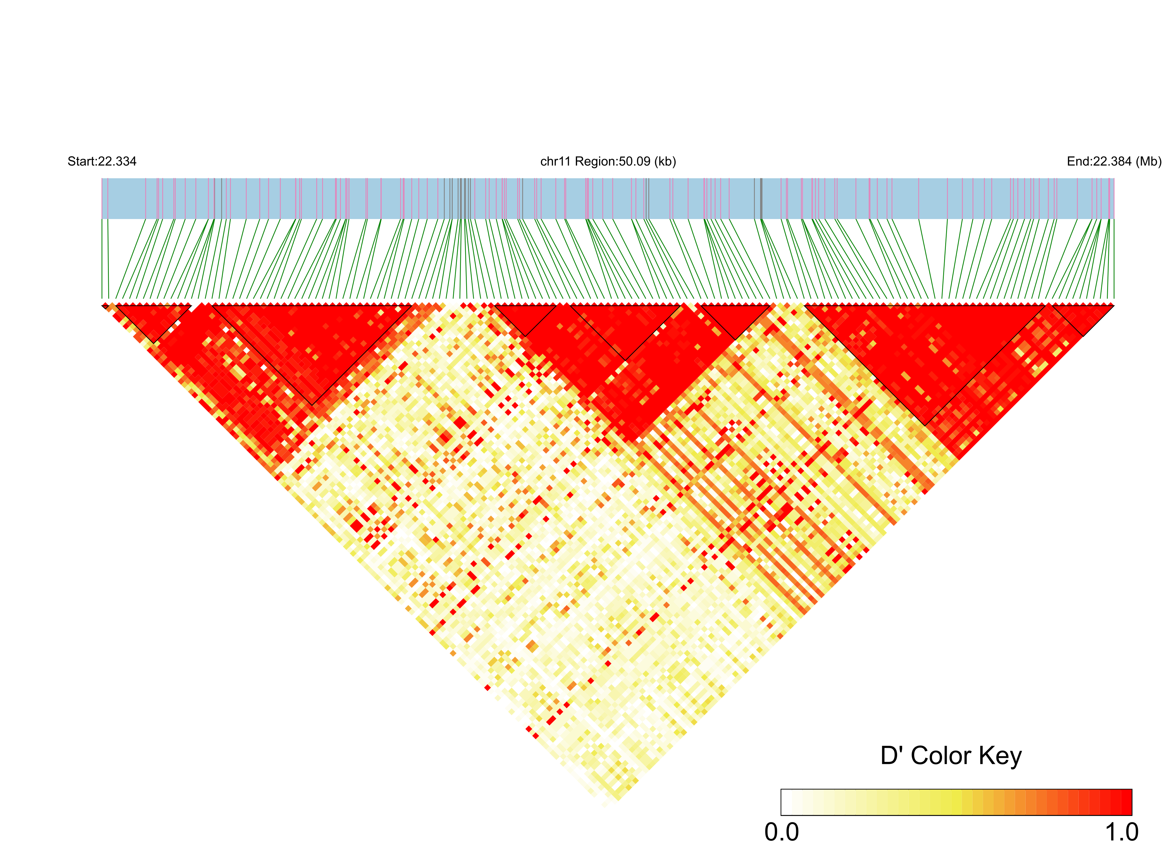 LD