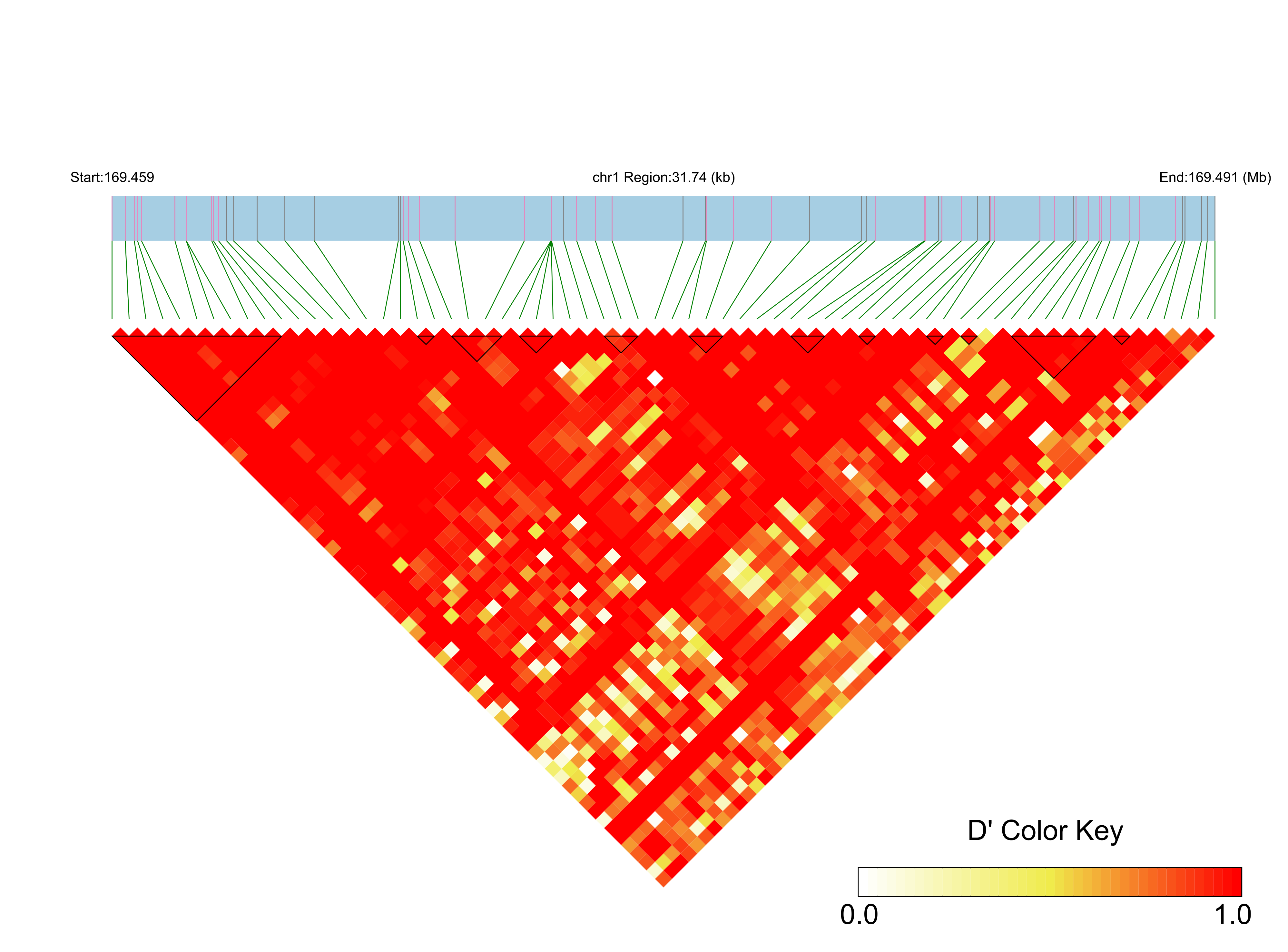 LD