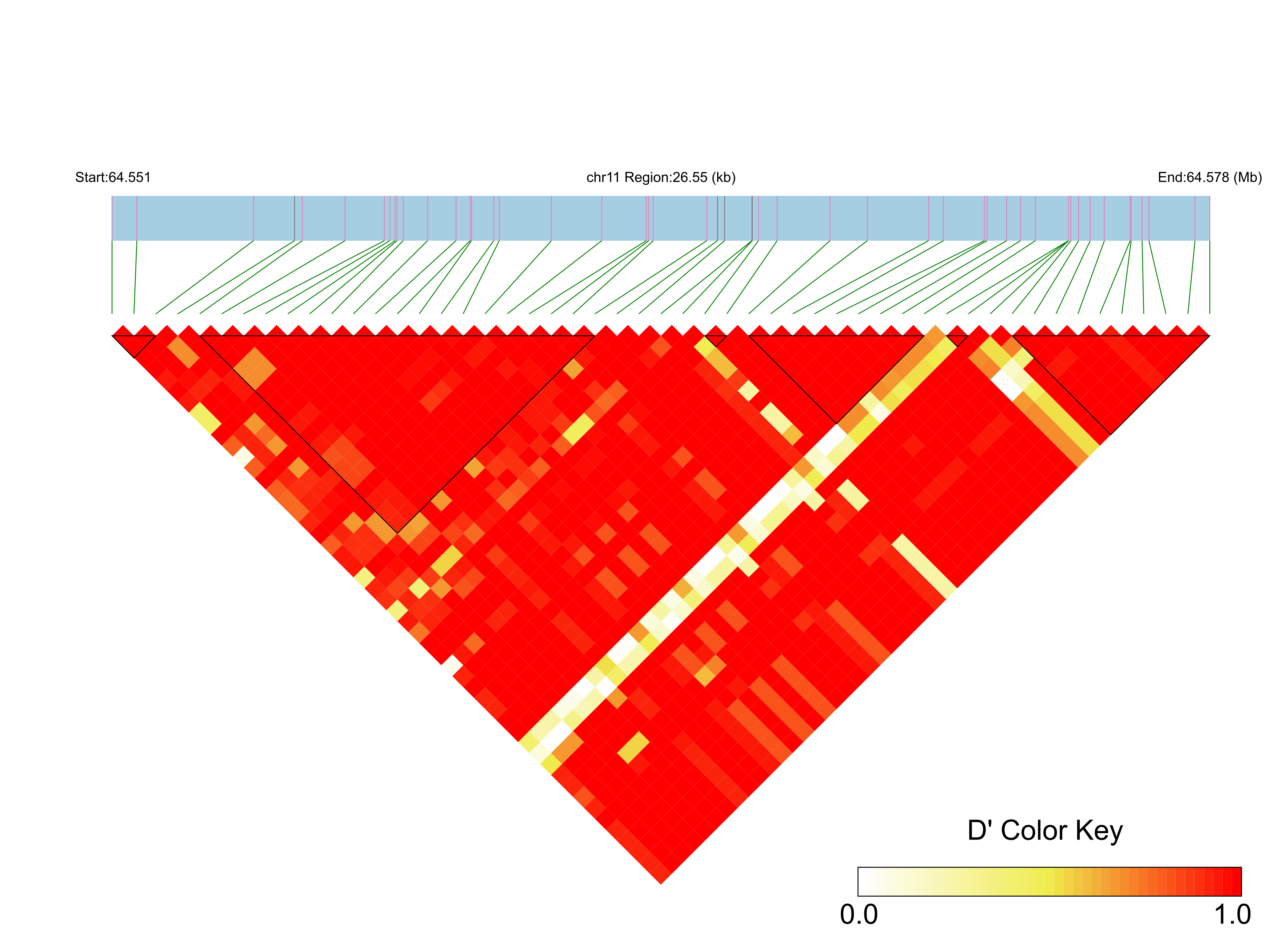LD