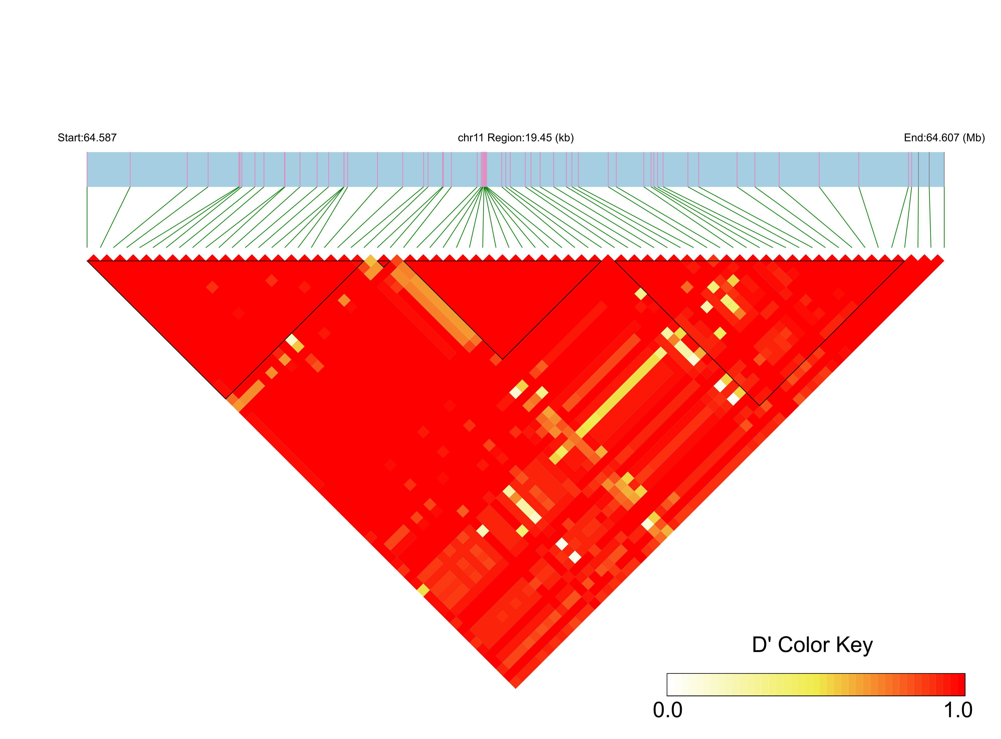 LD