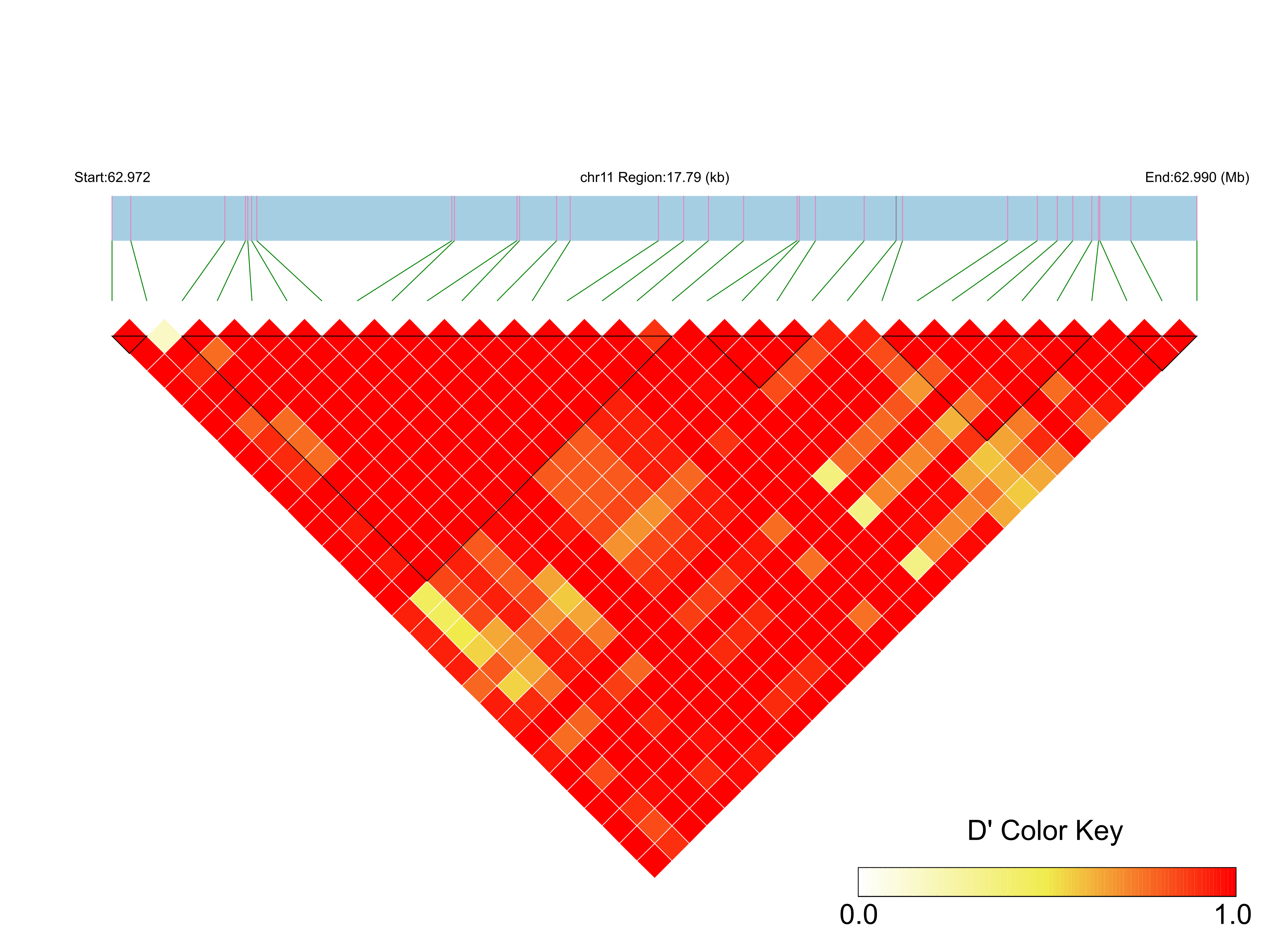 LD