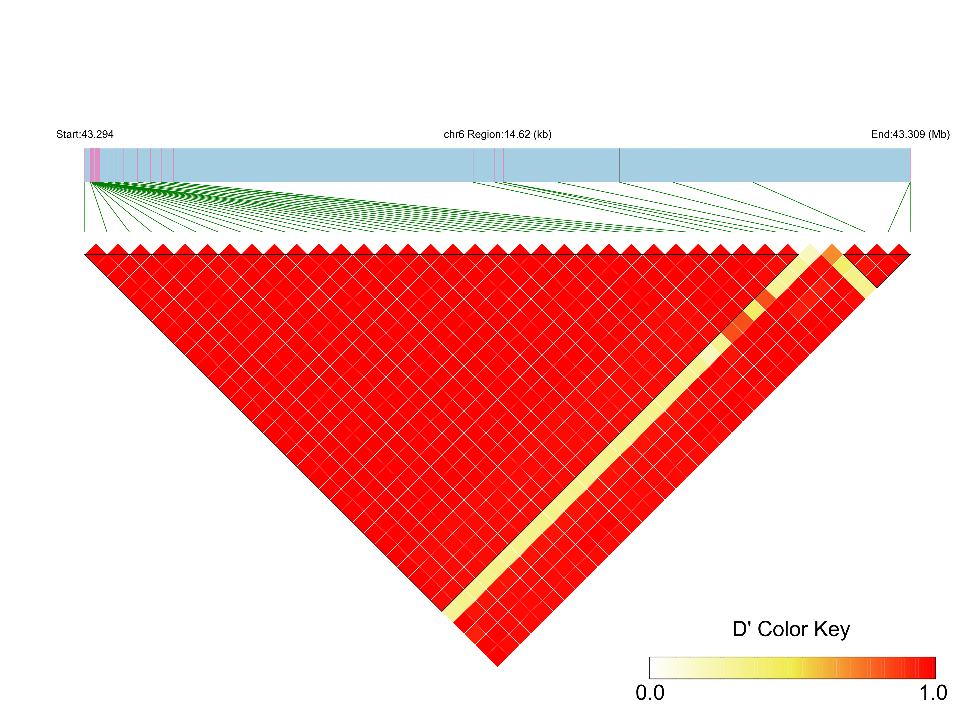 LD