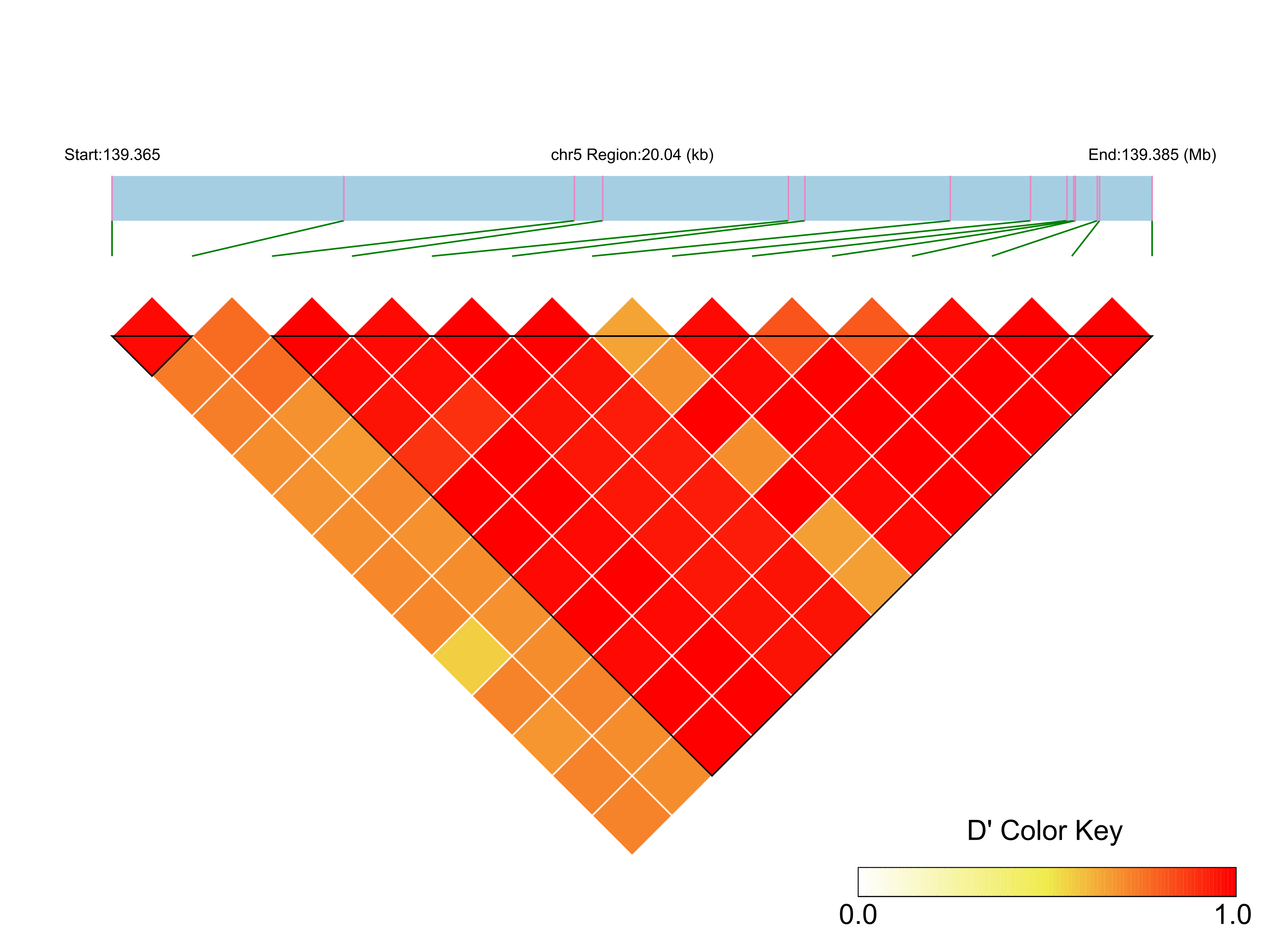 LD