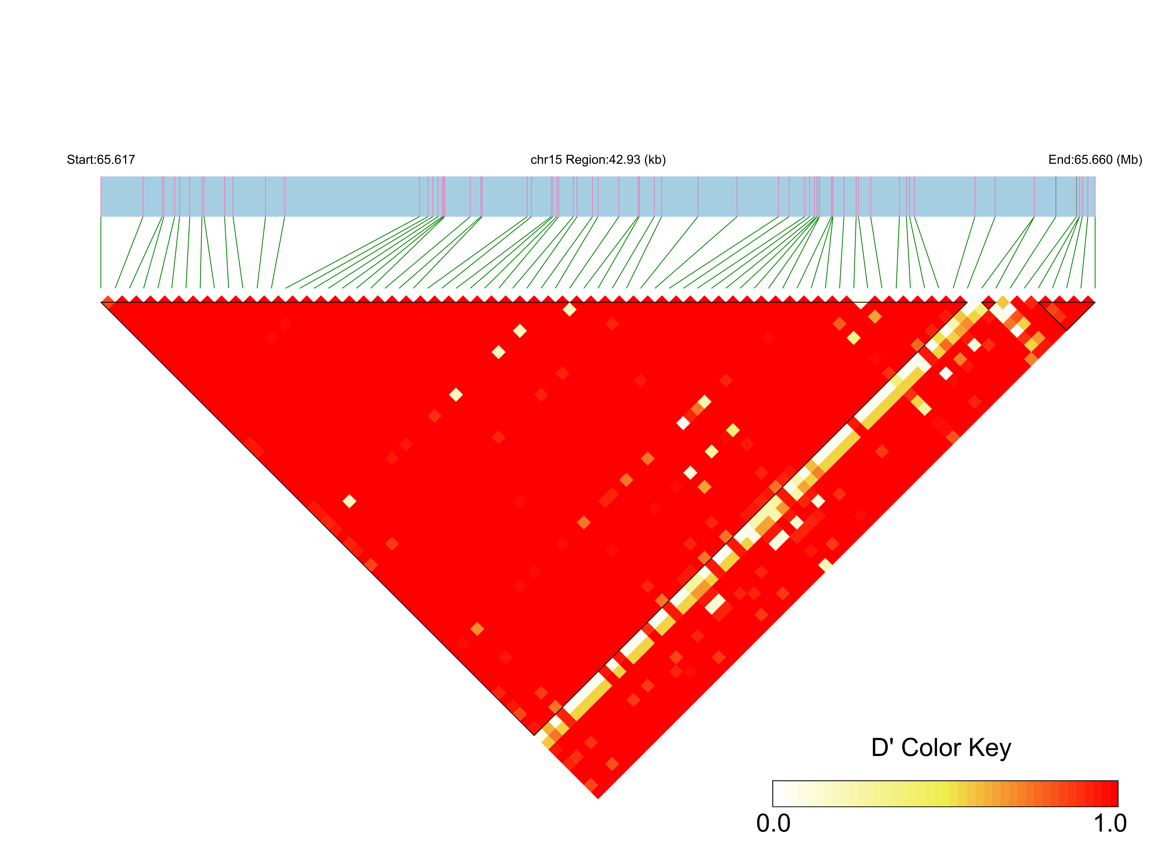 LD
