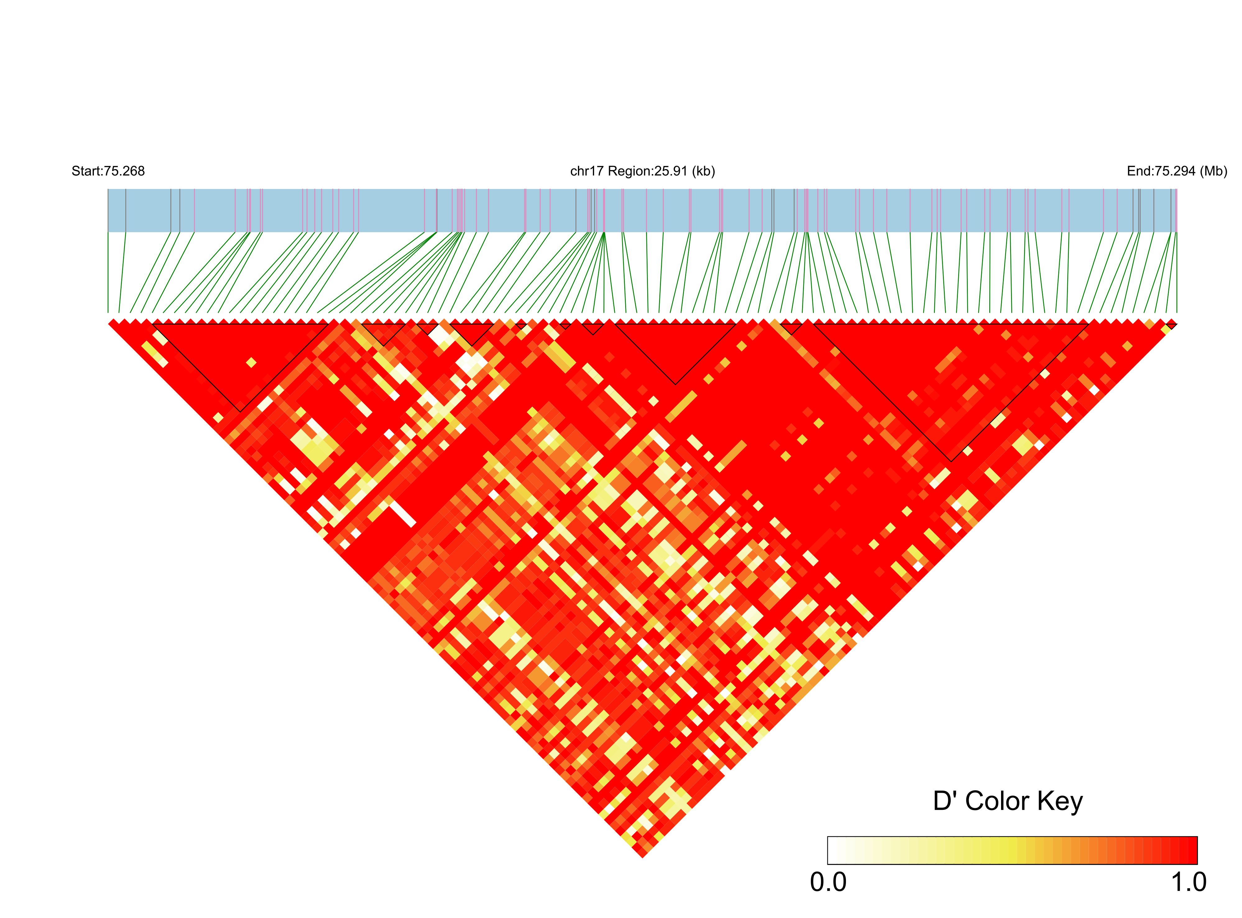 LD