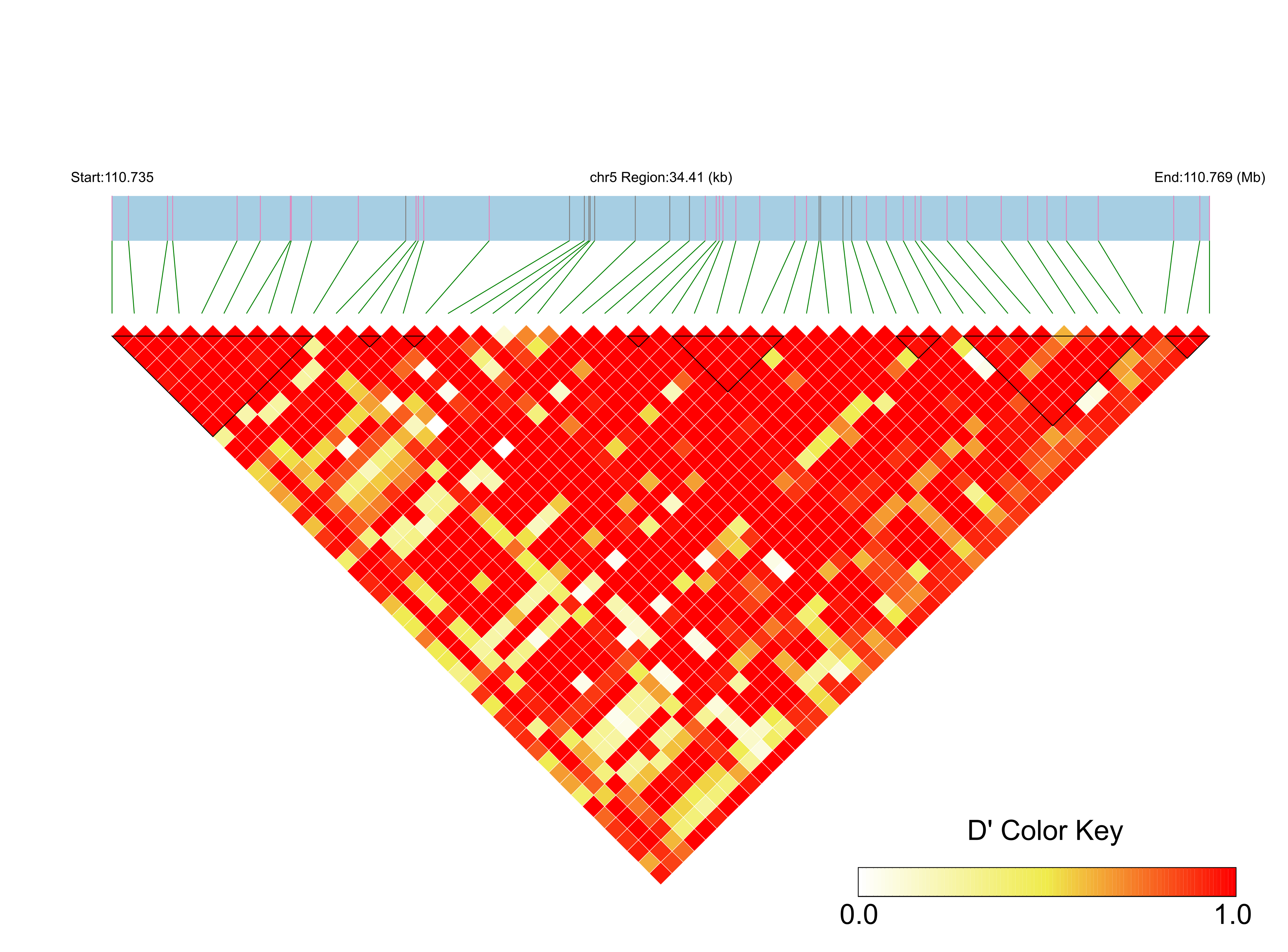 LD