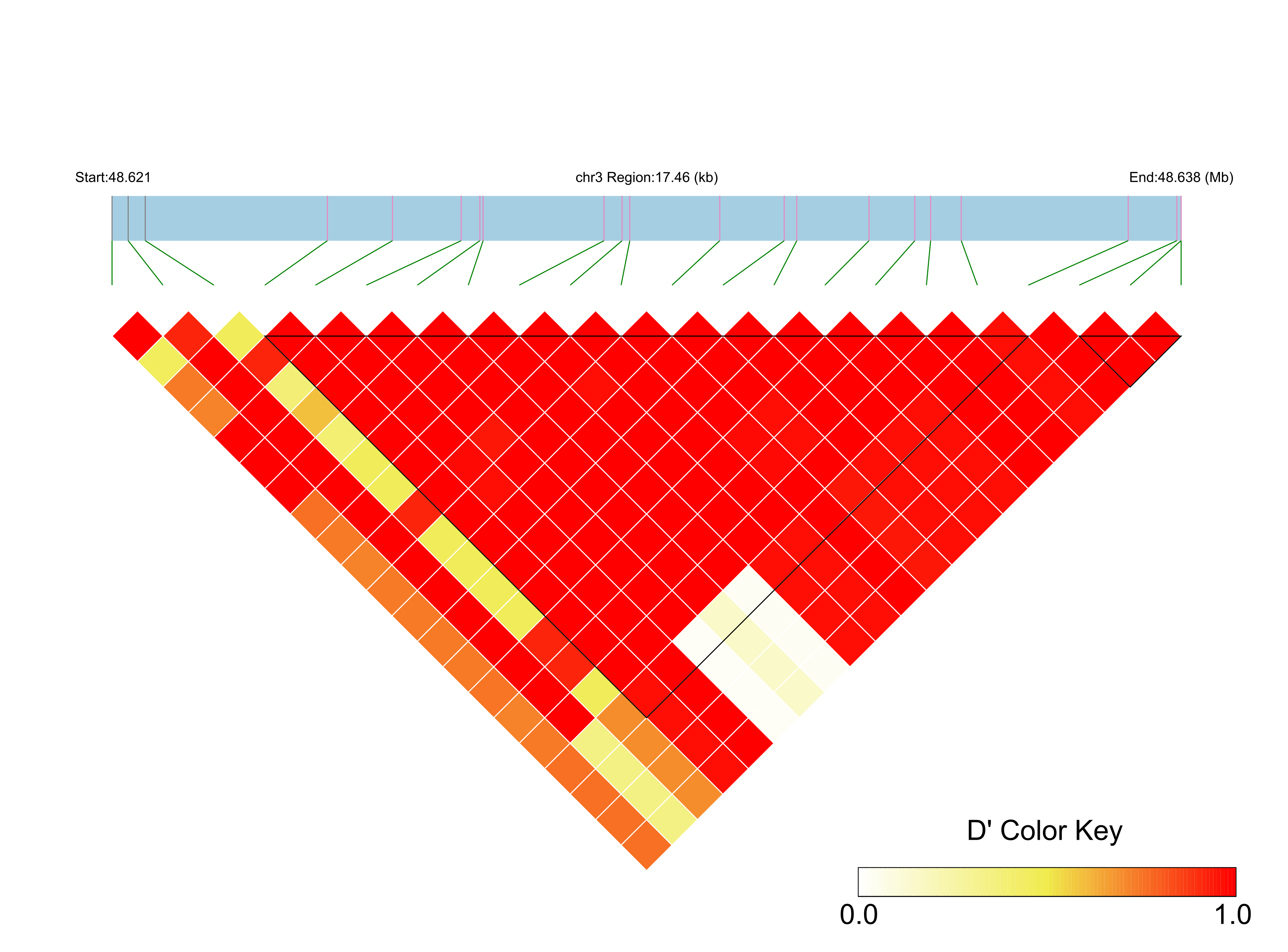 LD