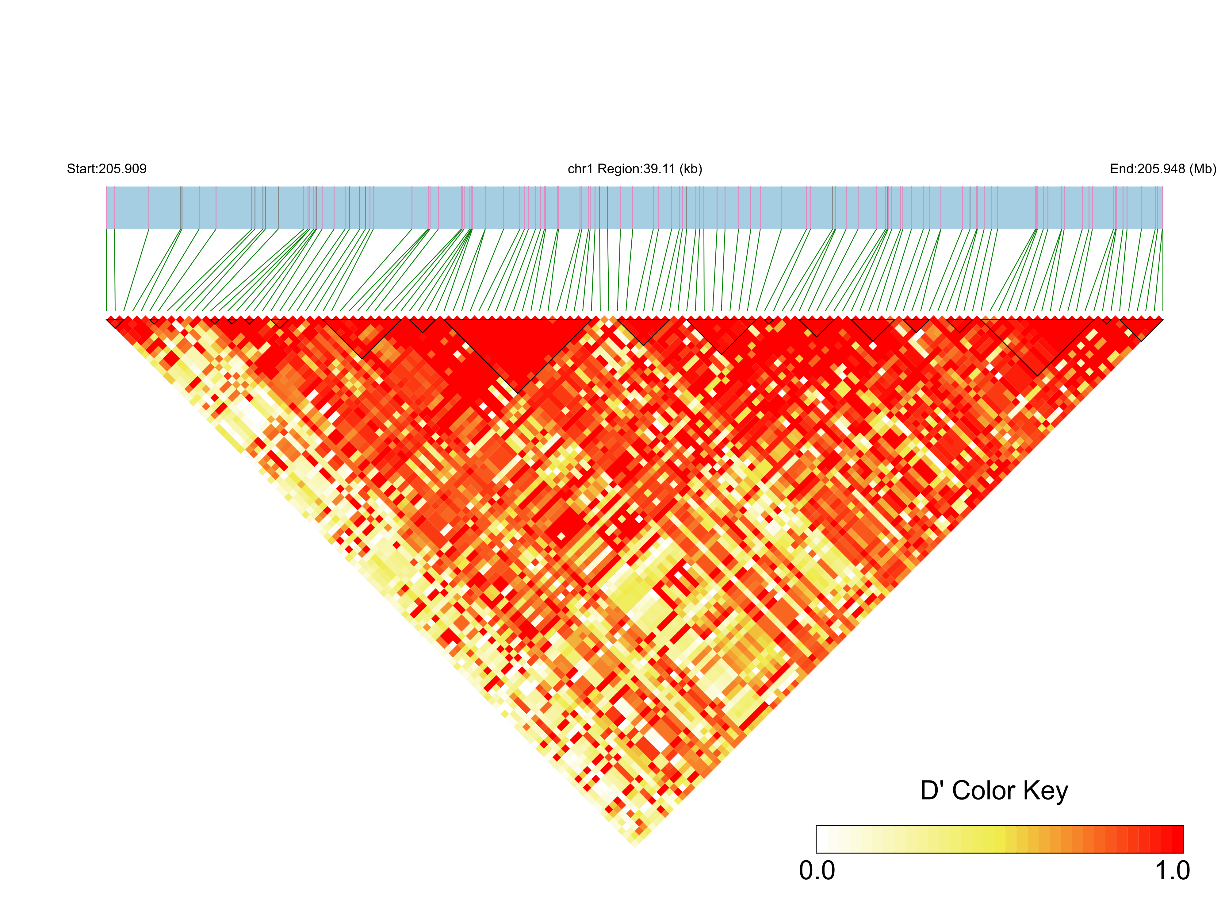 LD