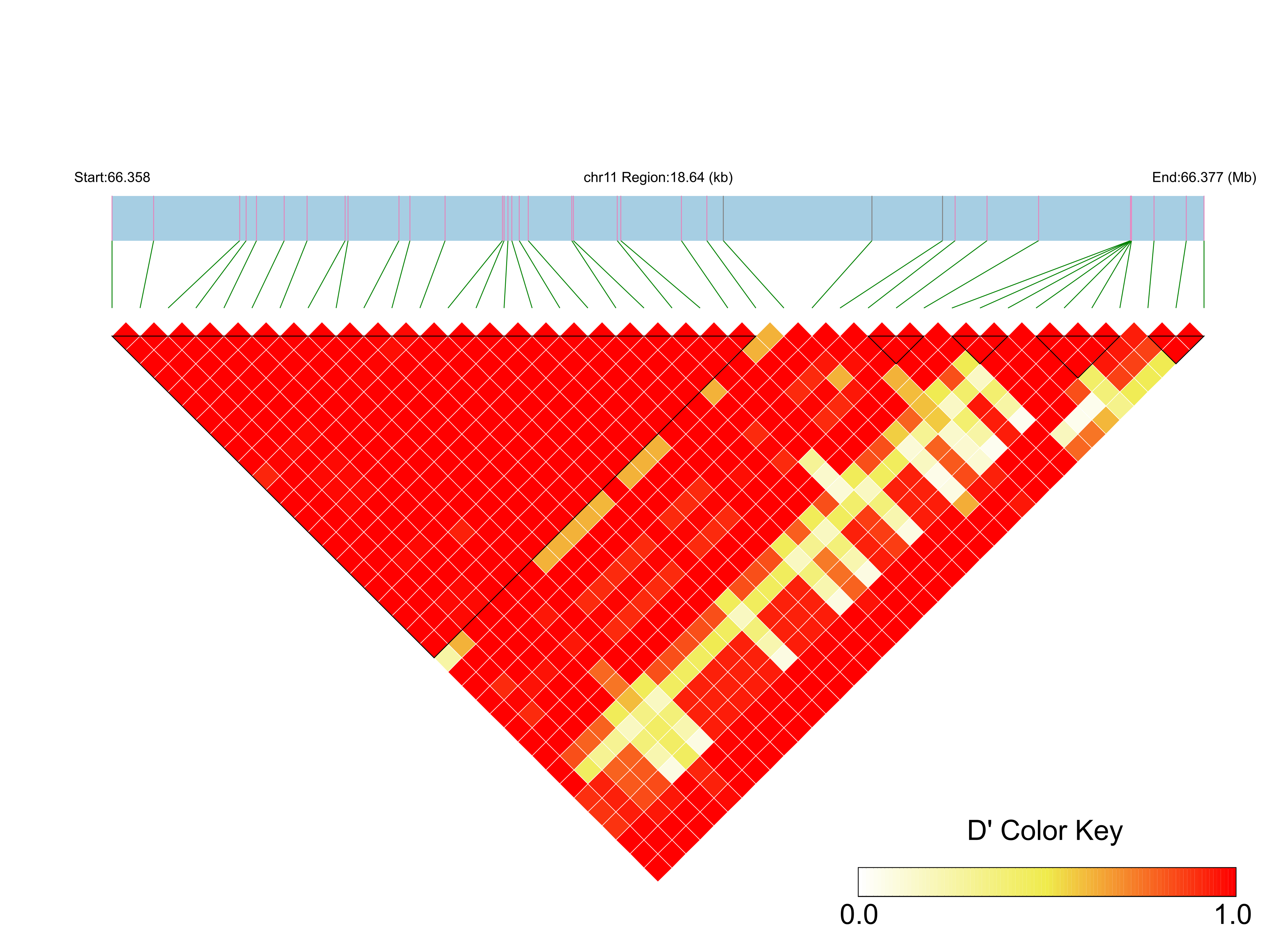 LD