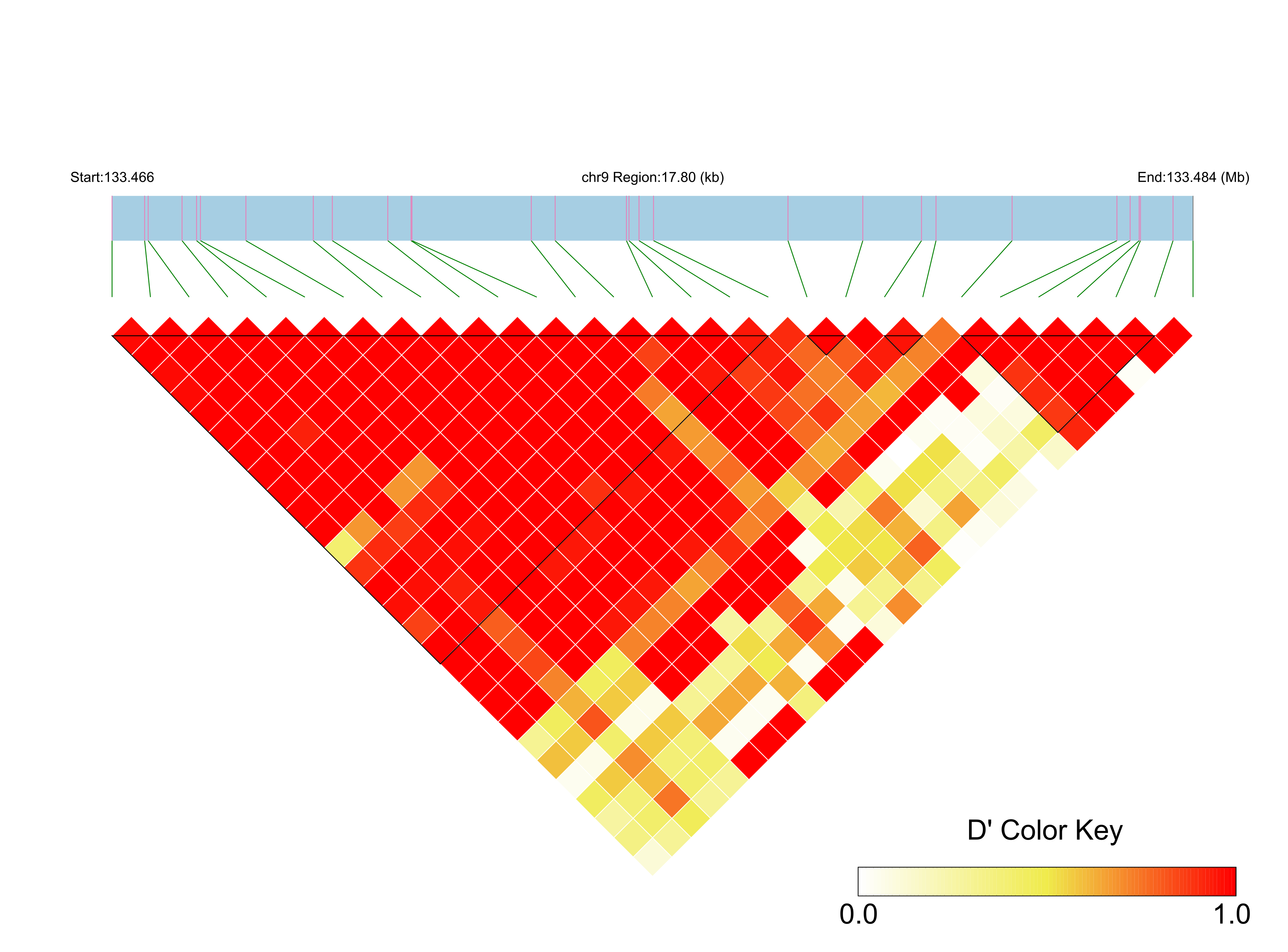 LD
