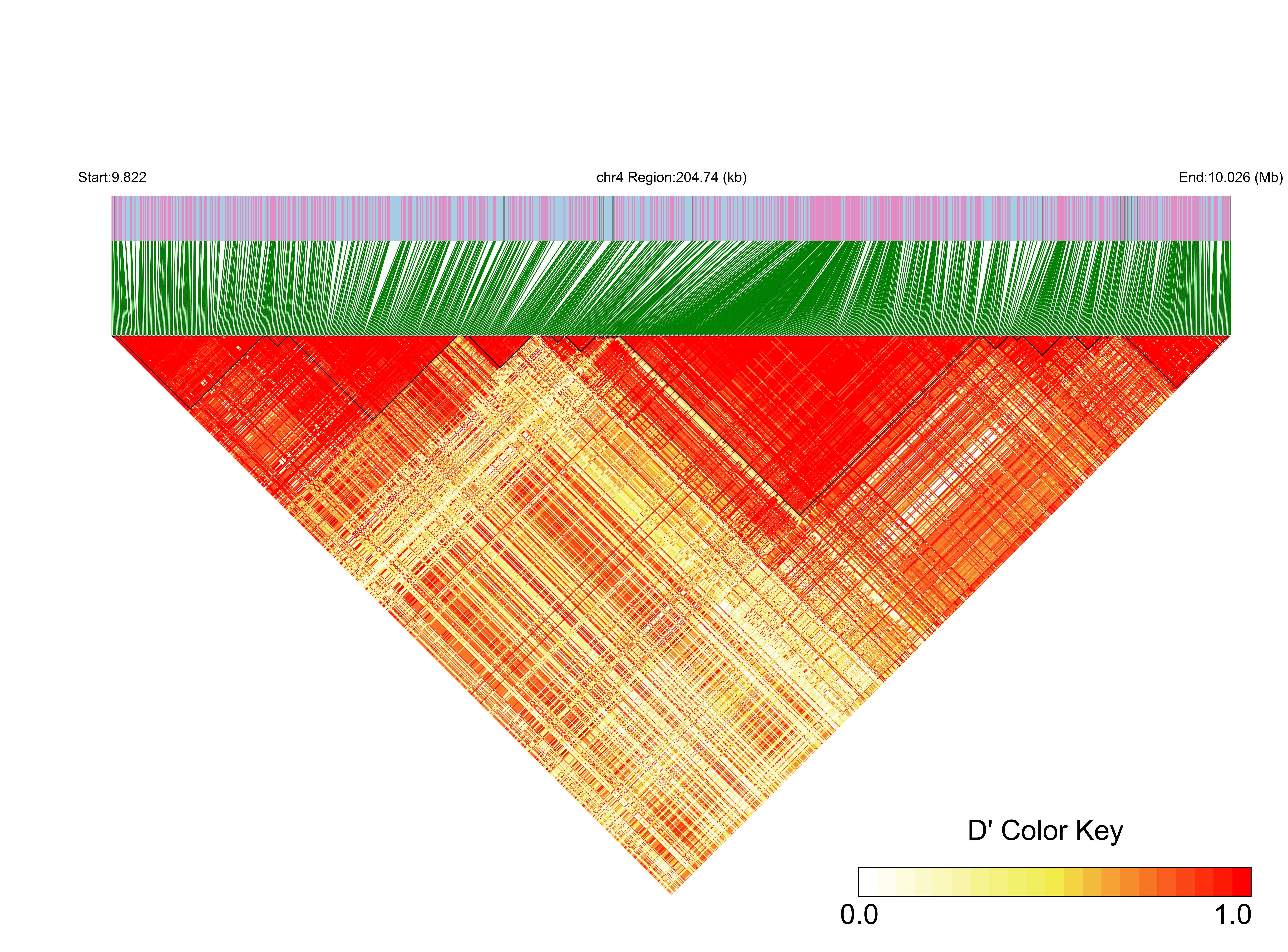 LD
