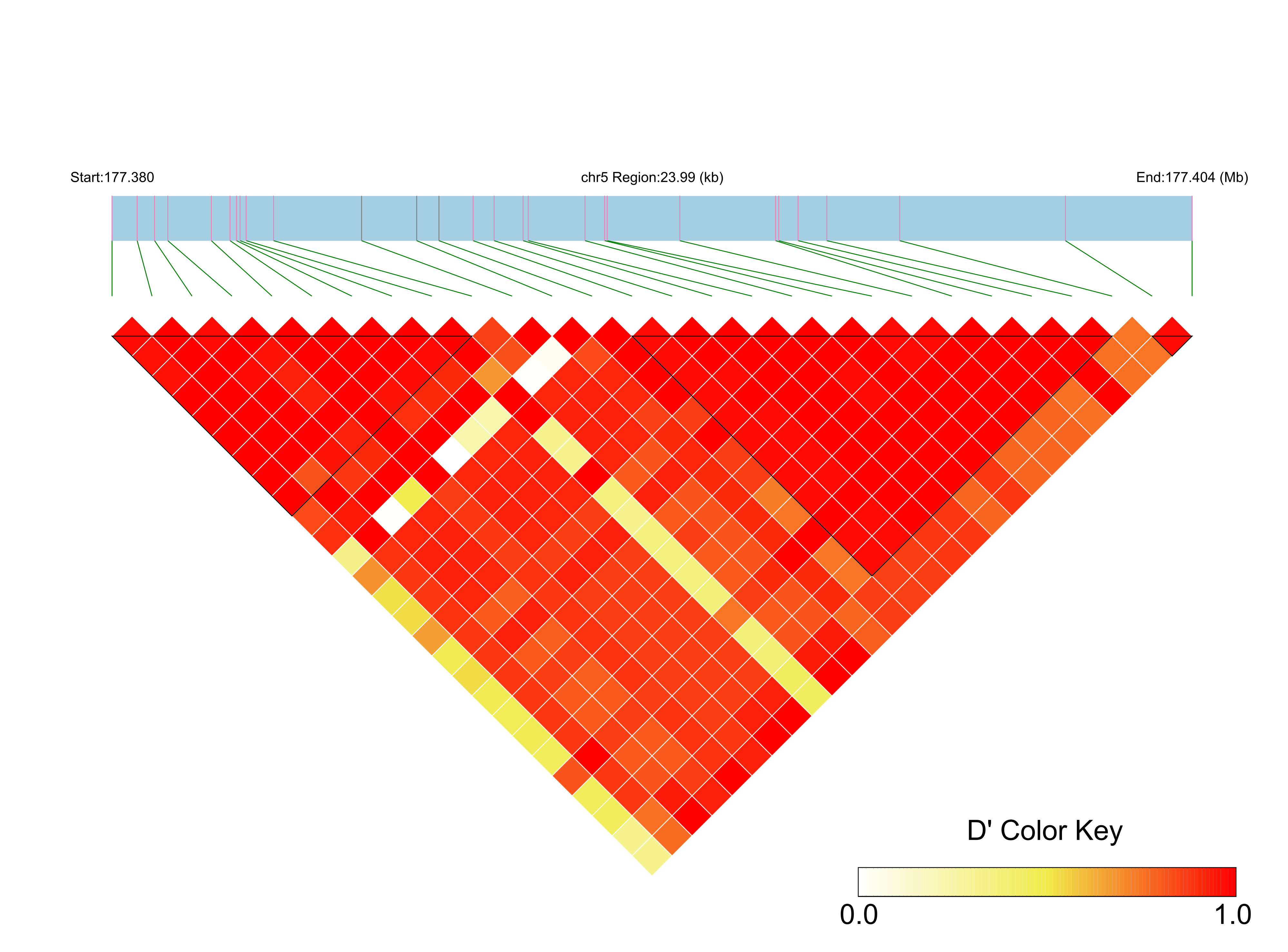 LD