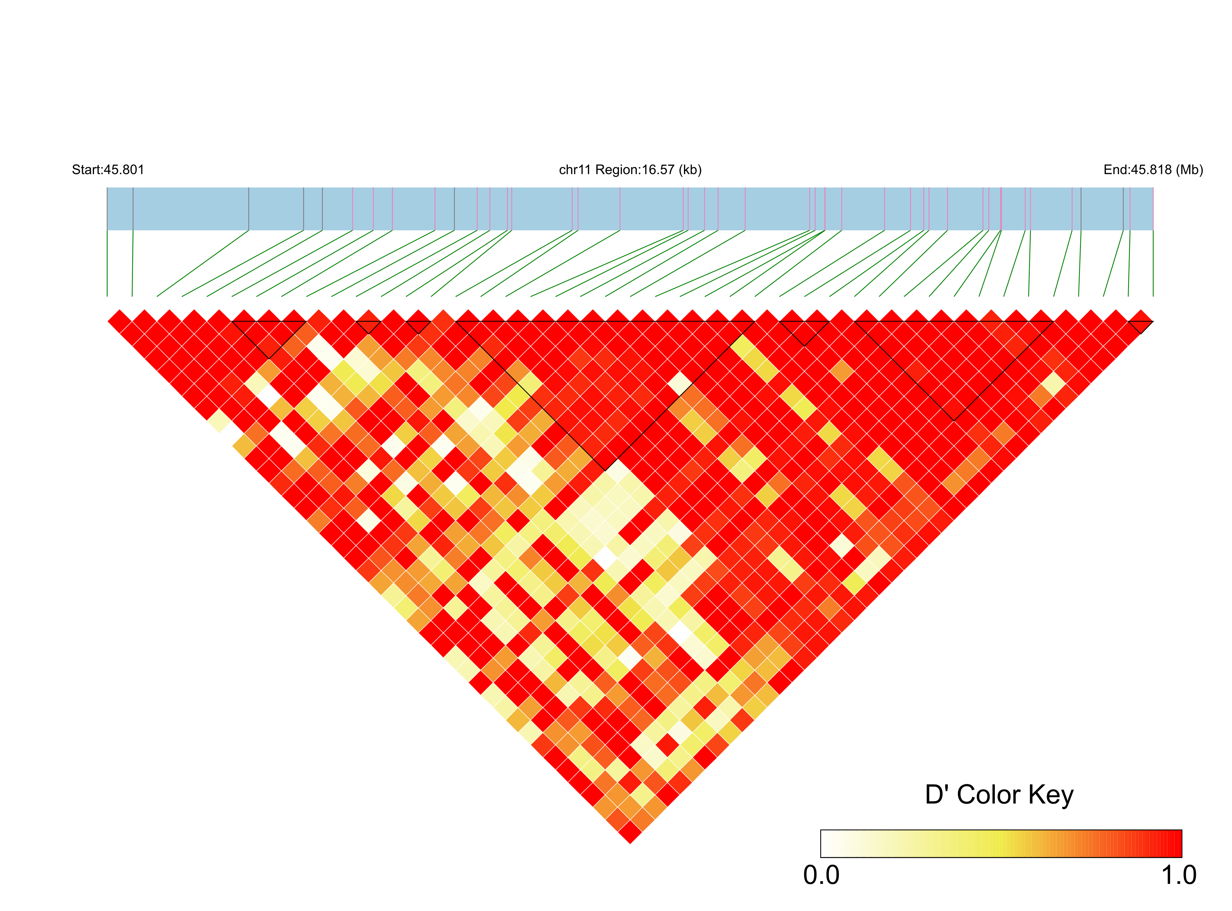 LD