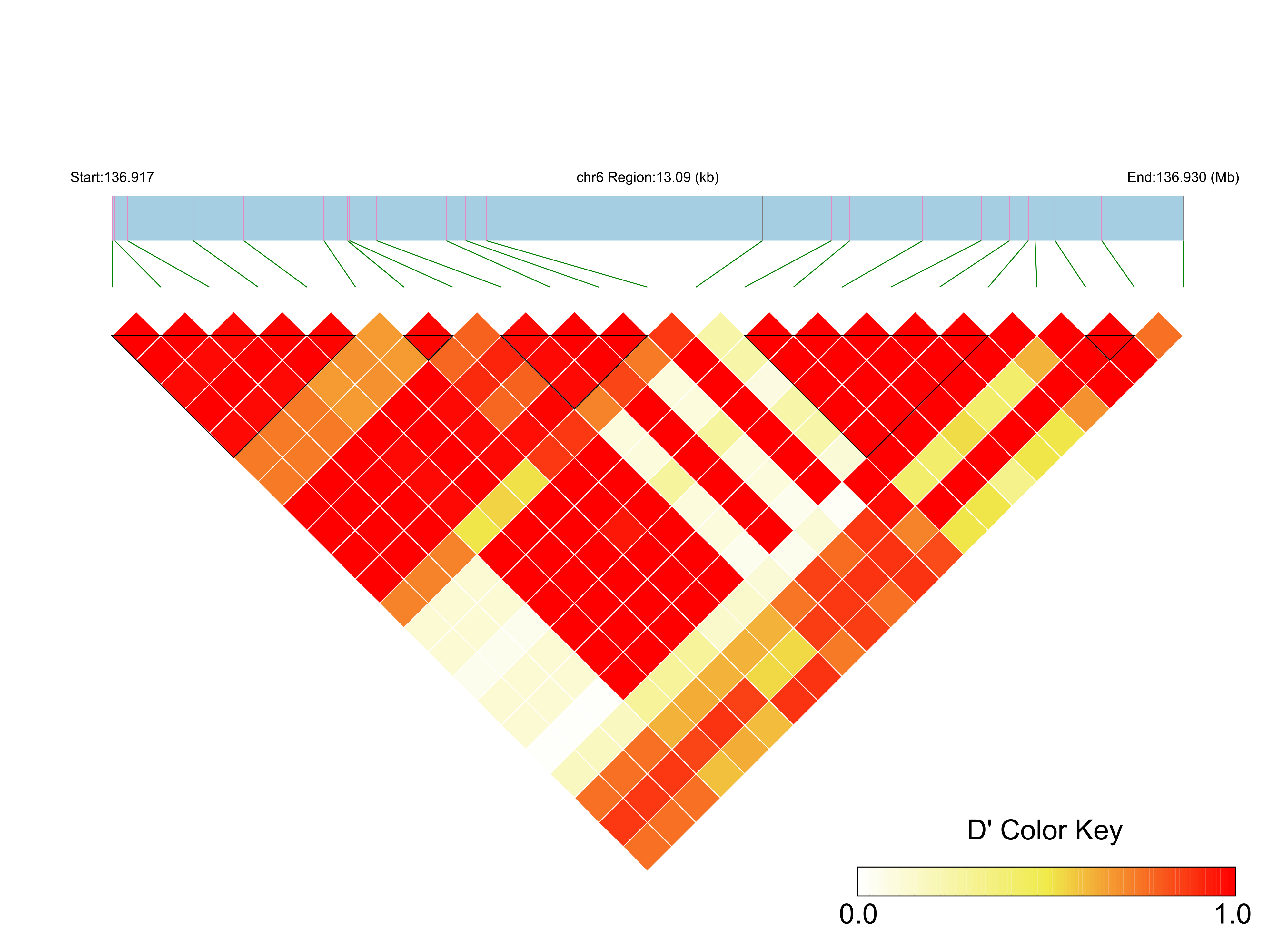 LD