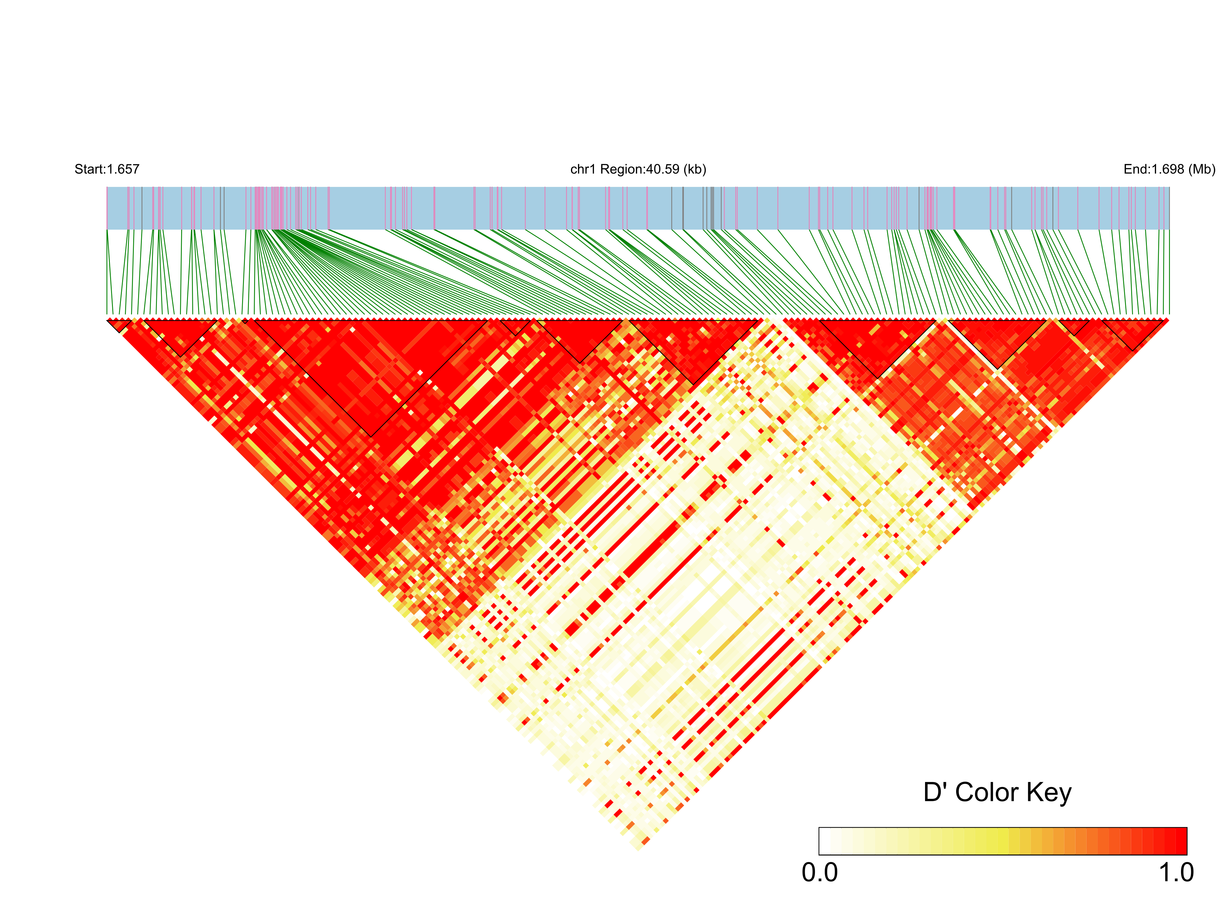 LD