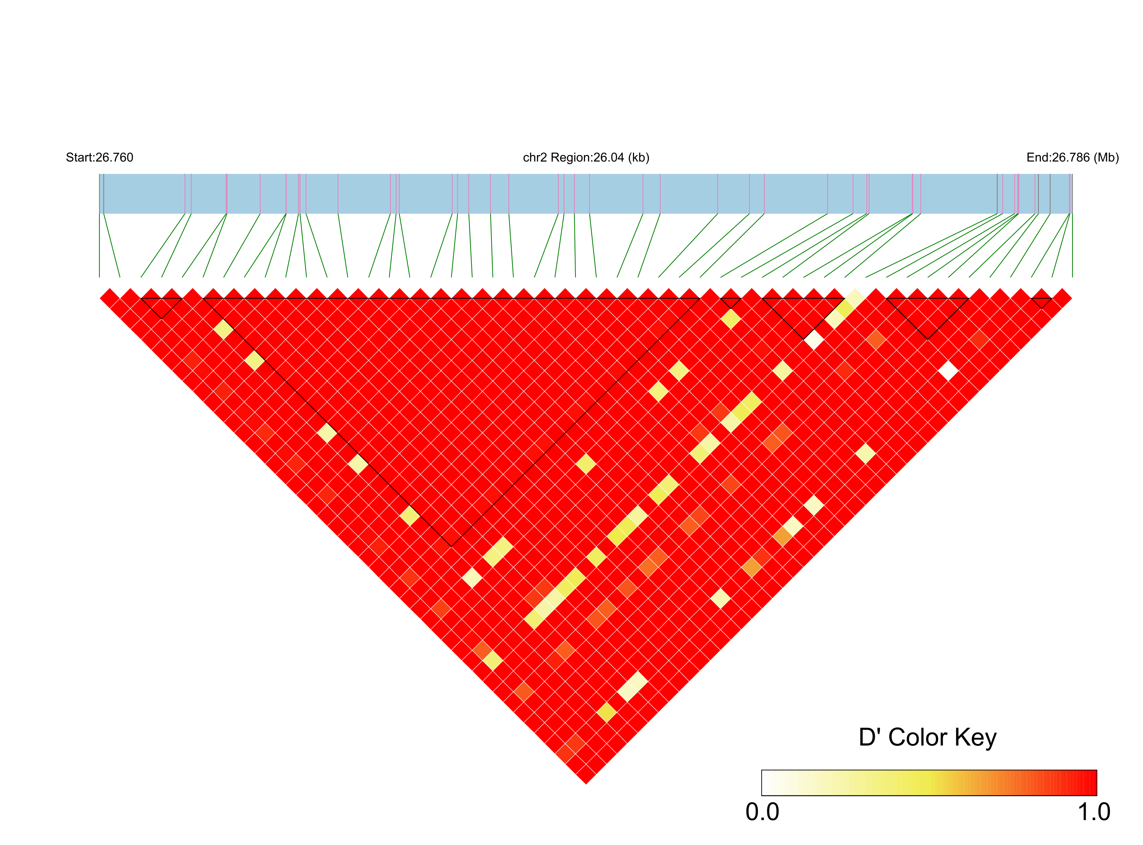 LD