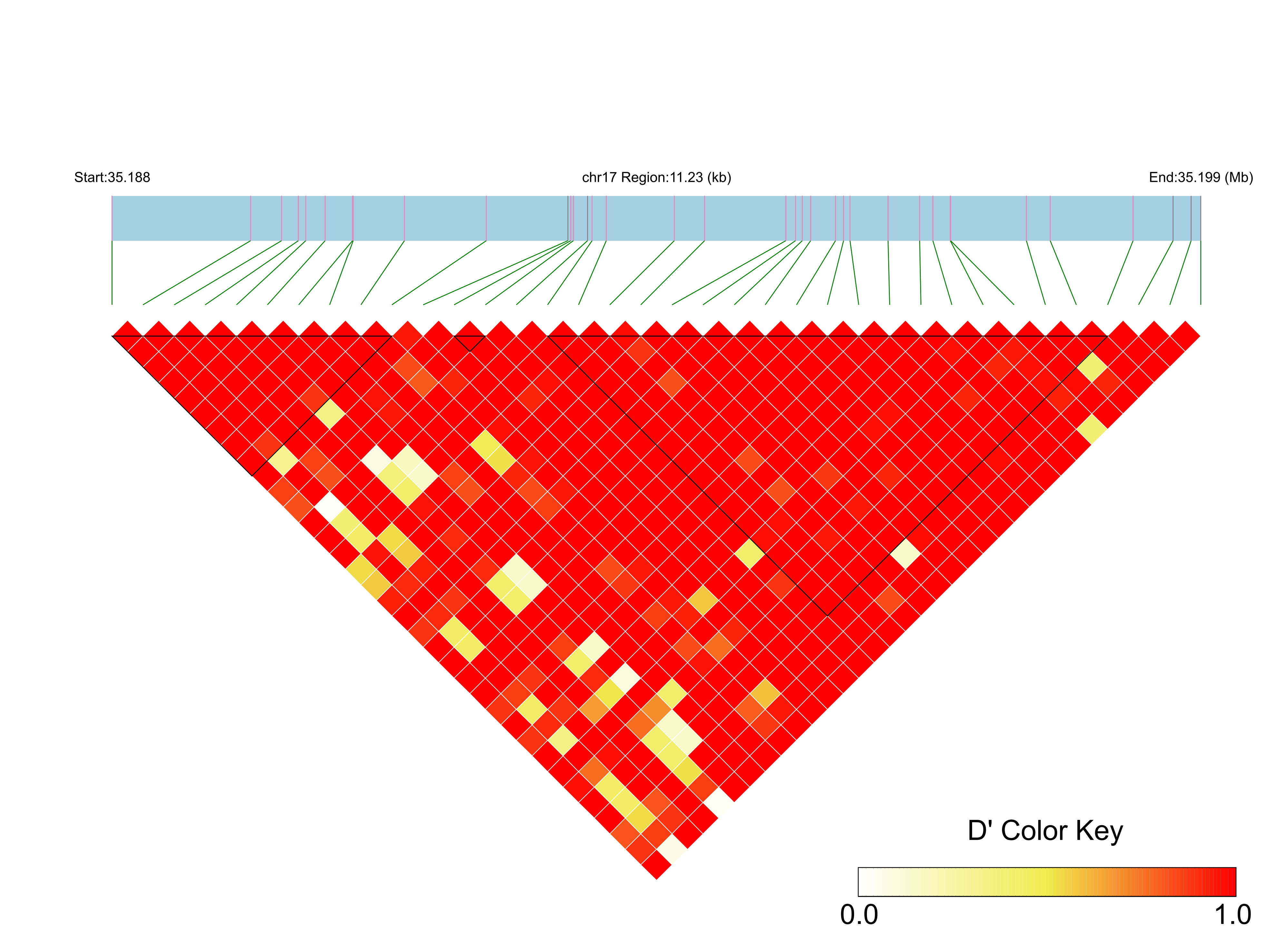 LD