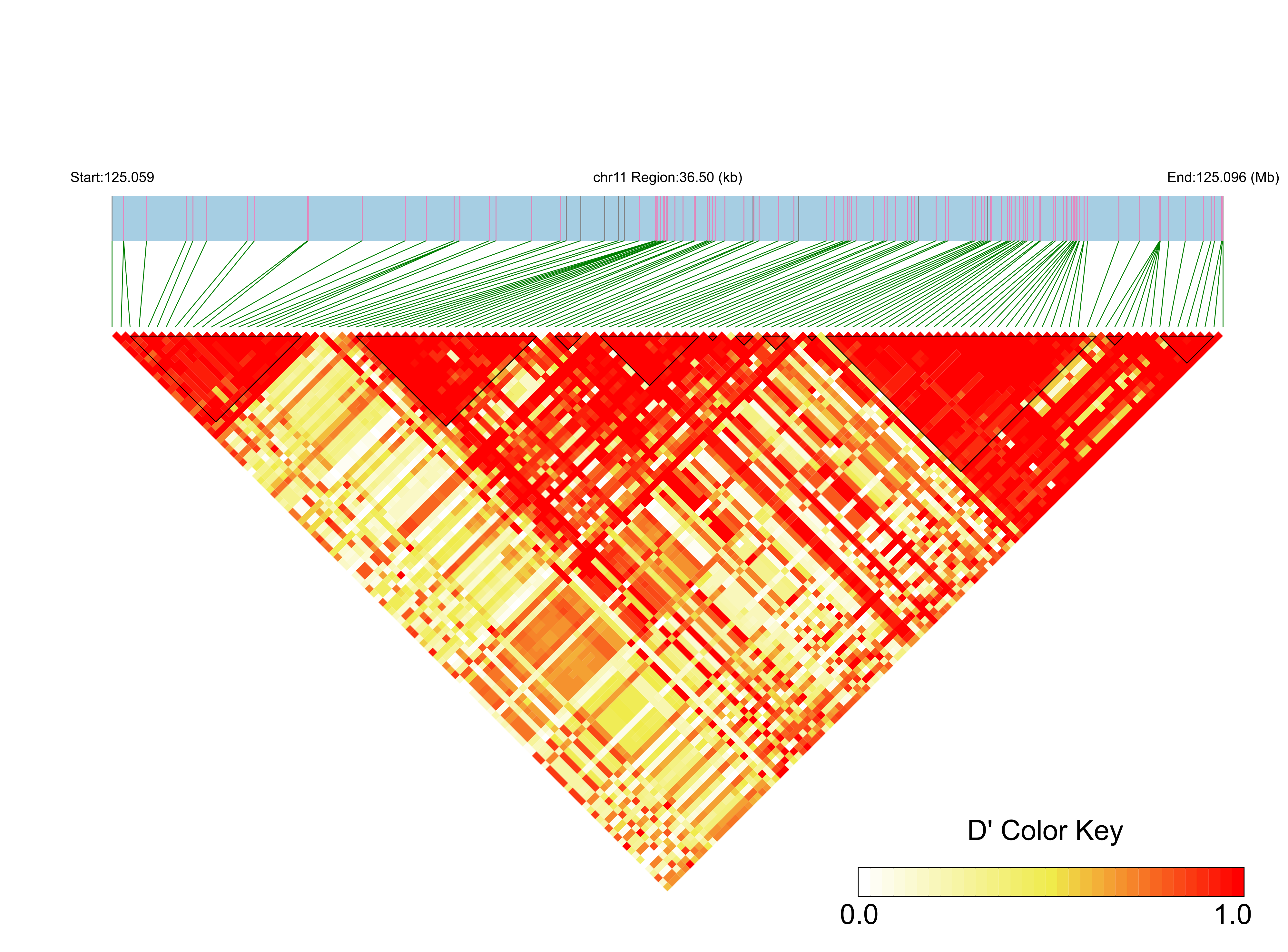 LD